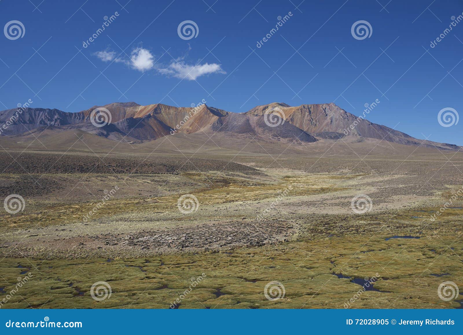 lauca national park, chile