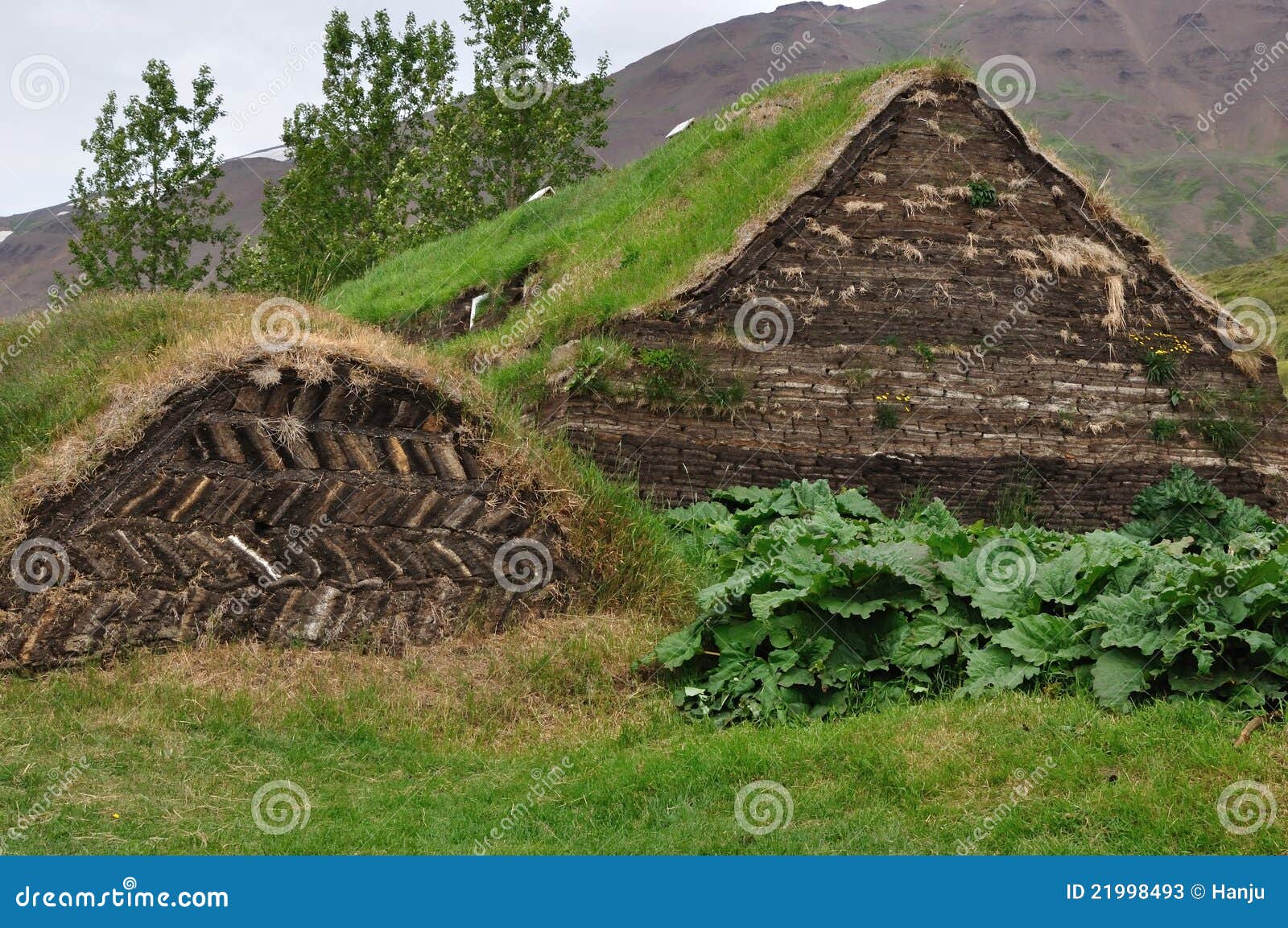 1850 вокруг laufas Исландии фермы северно вне приурочивает