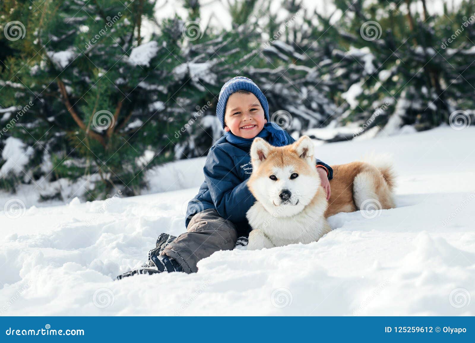 Laufendes mit Akita Inu-Hund an spielen Weihnachtsdes glücklichen Kinderjungen. Laufendes Spielen Weihnachtsdes glücklichen Kinderjungen mit Akita--Inuhund auf weißem Schnee am Wintertag Ein glücklicher Junge, der seinen geliebten Hund, spielend im schneebedeckten Wald umarmt