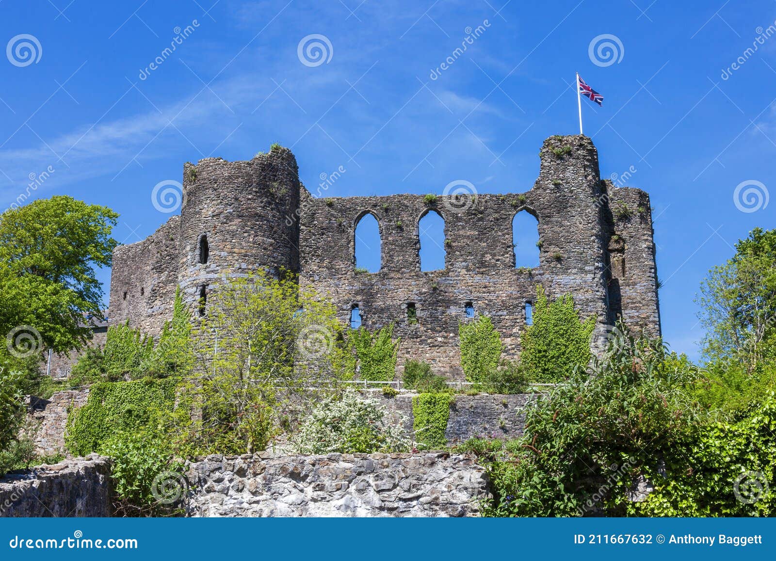 laugharne castle in carmarthenshire south wales uk