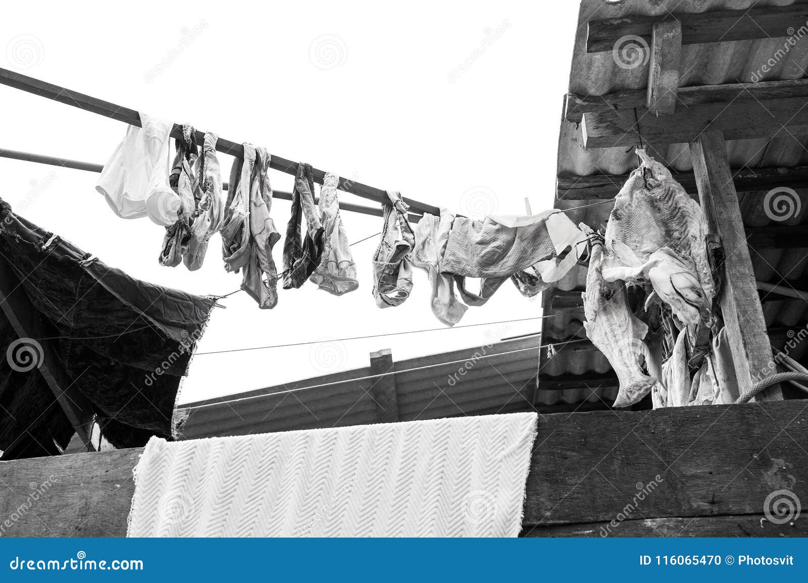 laundry and fish drying in boca de valeria, brazil