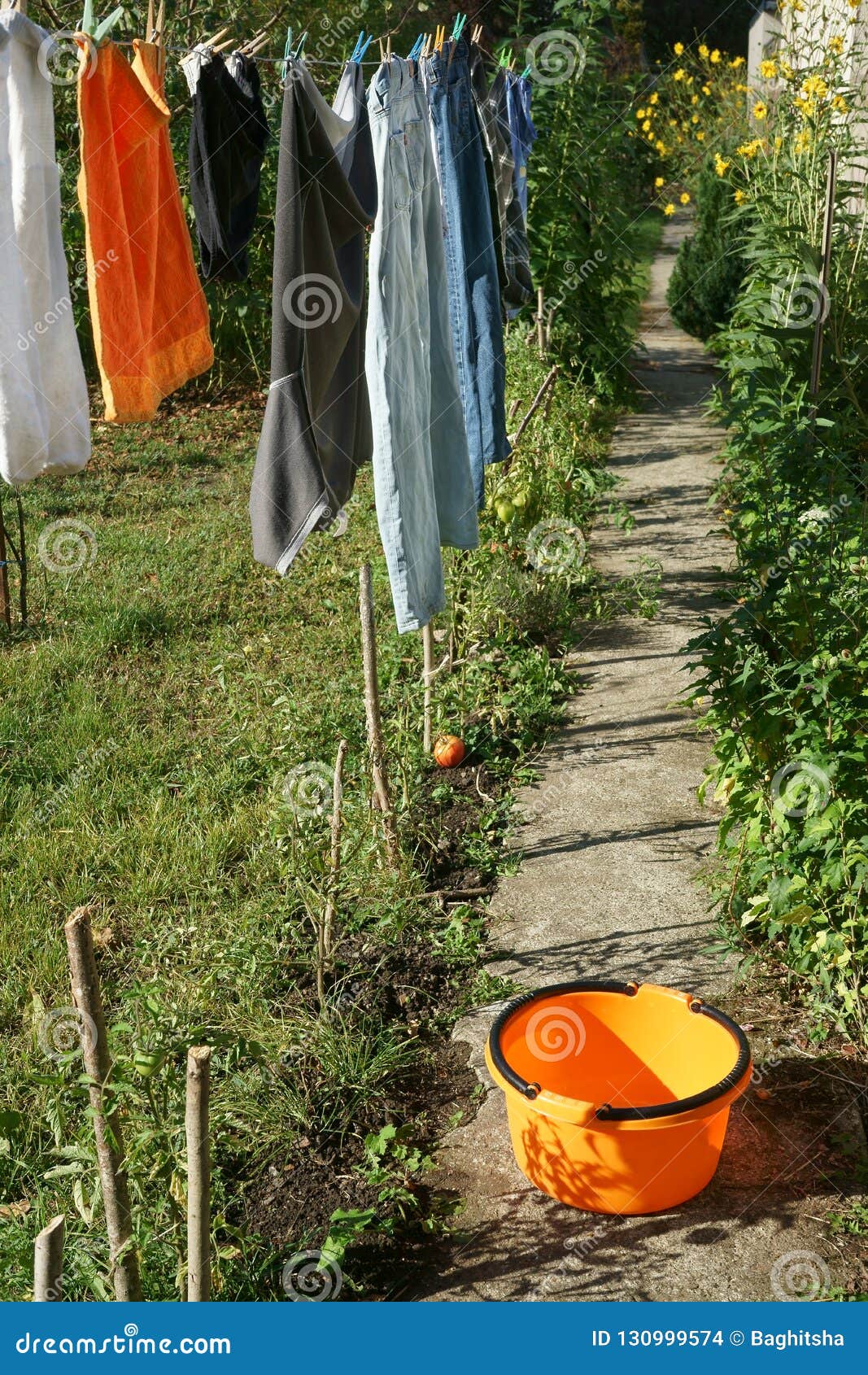 Laundry Hanging To Dry Garden Flowers Sunlight Stock Photo - Image of ...
