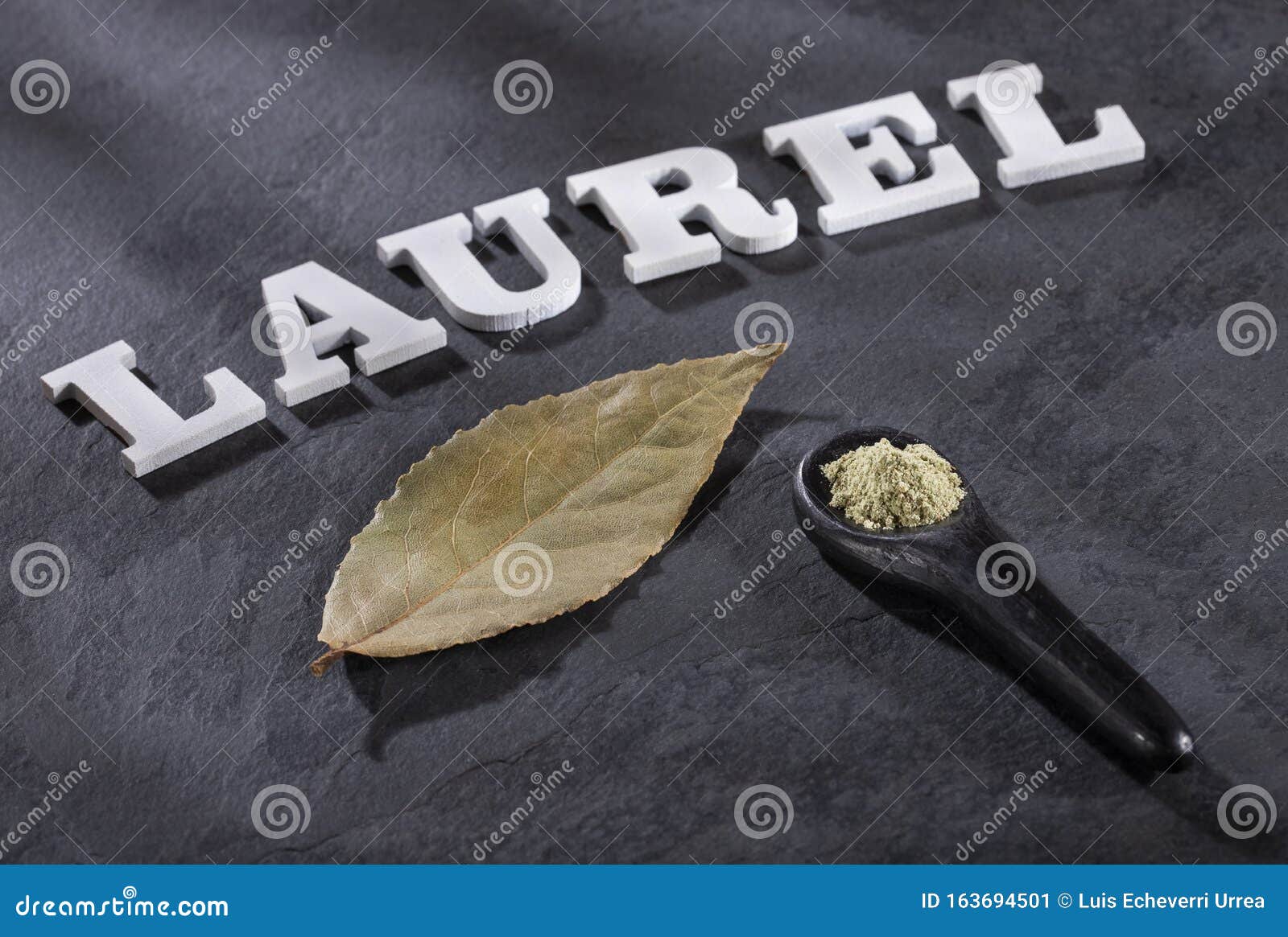 Laurus Nobilis Bay Leaf and Crushed Bay Leaves Stock Image Image of