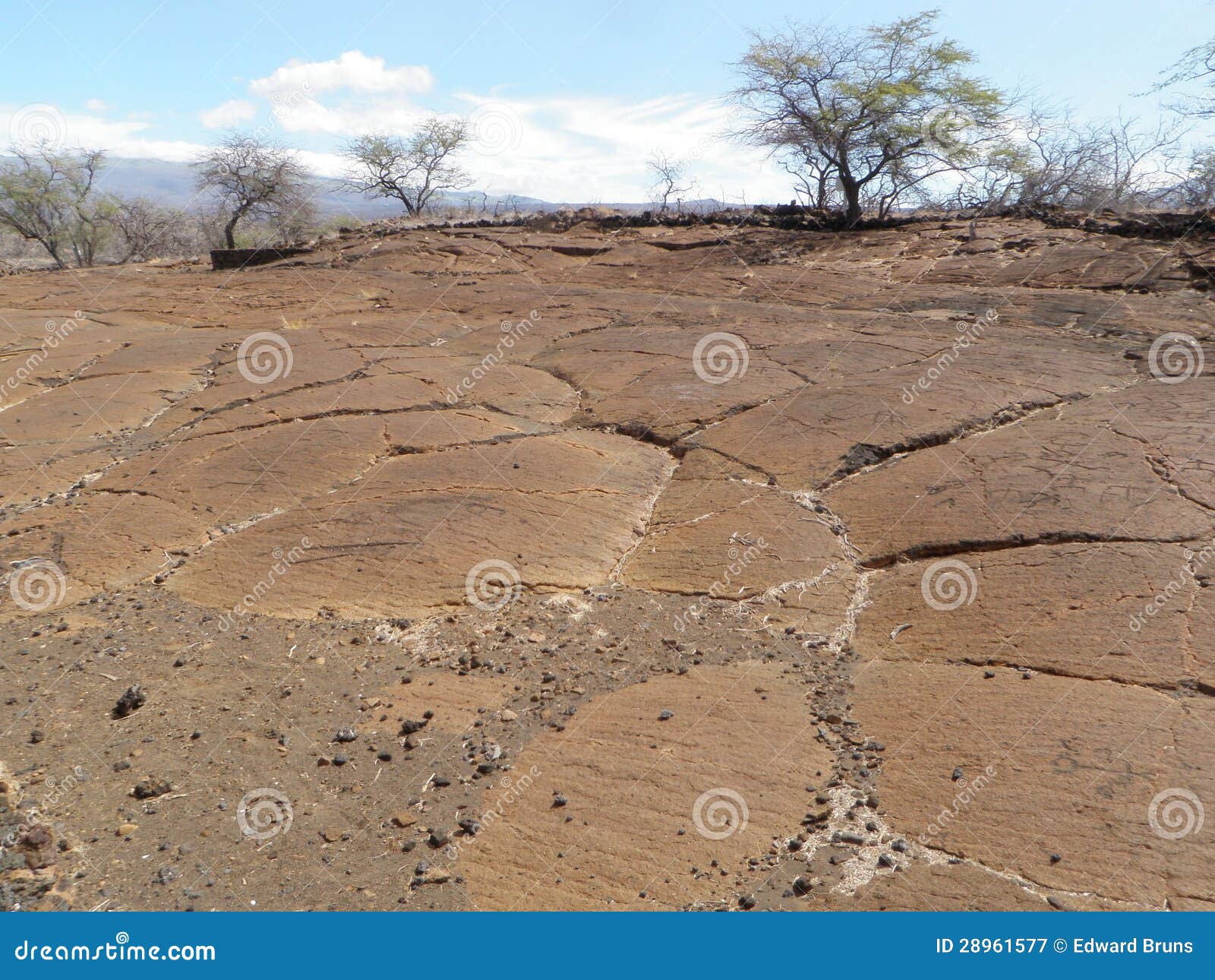Lava Bed with Native Hawaiian Petroglyph Carvings Stock Image Image of outside, solidified