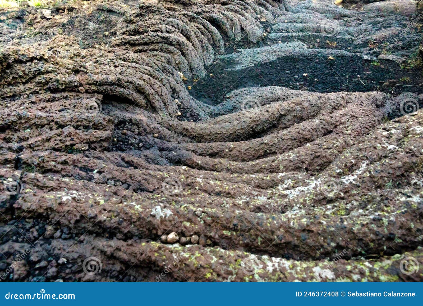 lava cordata pahoehoe sul vulcano etna a piano dei dammusi