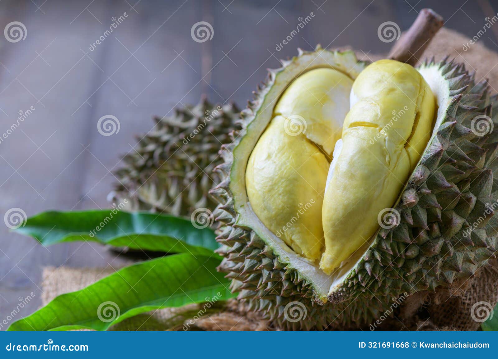 lava durian sisaket, it is grown in an ancient volcanic area, king of fruits