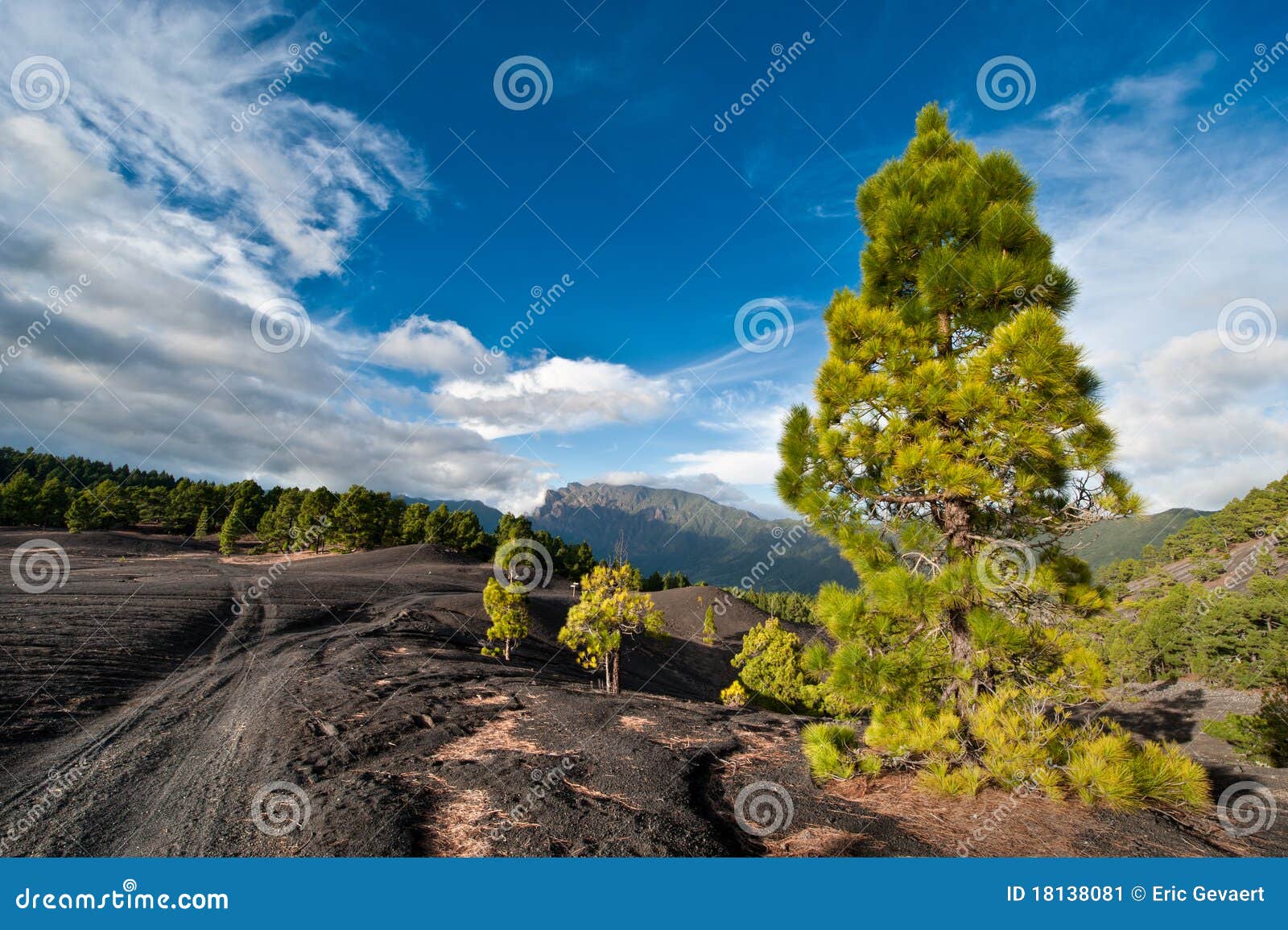 lava landscape on the cumbre nueva in la palma