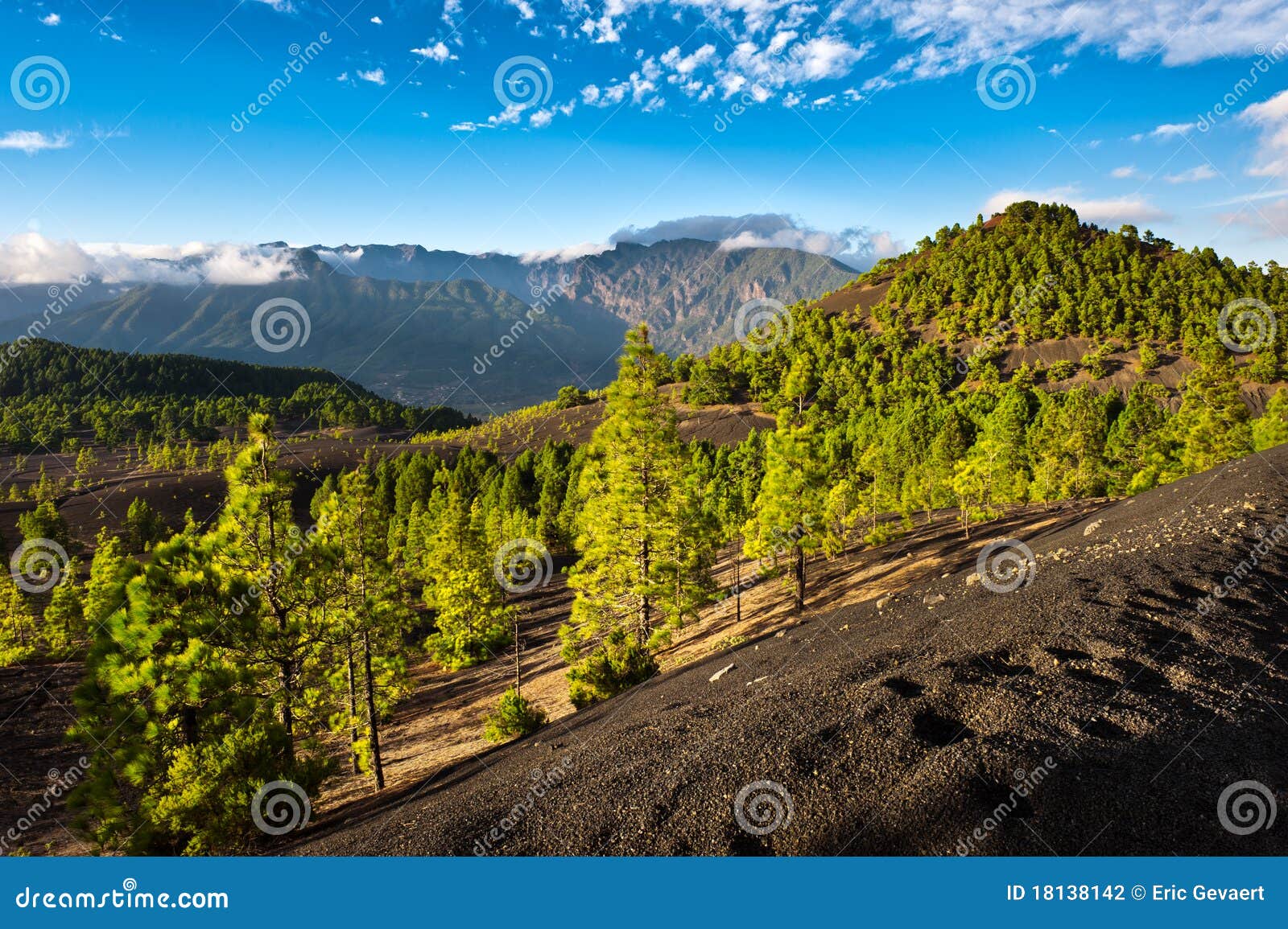 lava landscape on the cumbre nueva in la palma