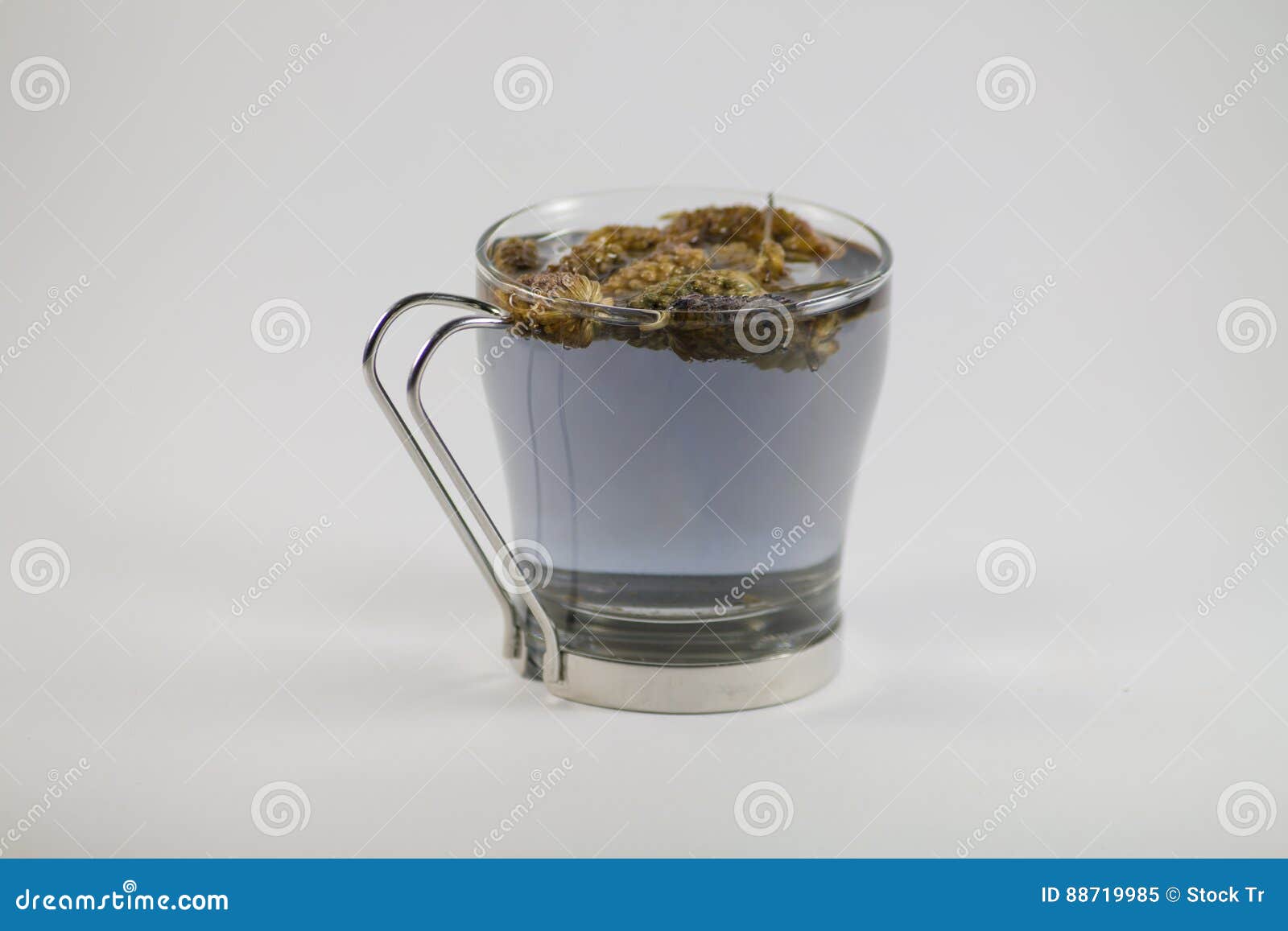 Lavandula stoechas Tea stock image. Image of essential - 88719985