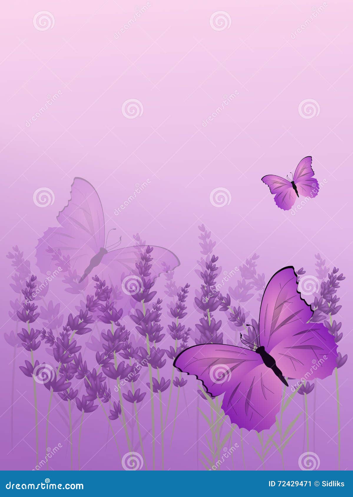 Lavender Background with Butterfly Stock Illustration Illustration of