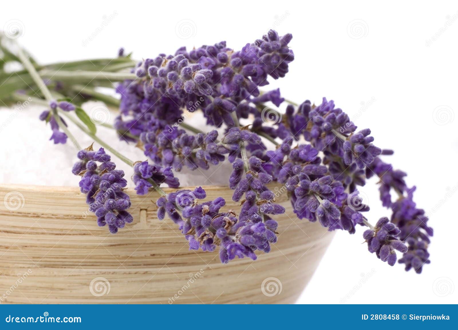 Lavender bath stock photo. Image of health, healthcare 2808458