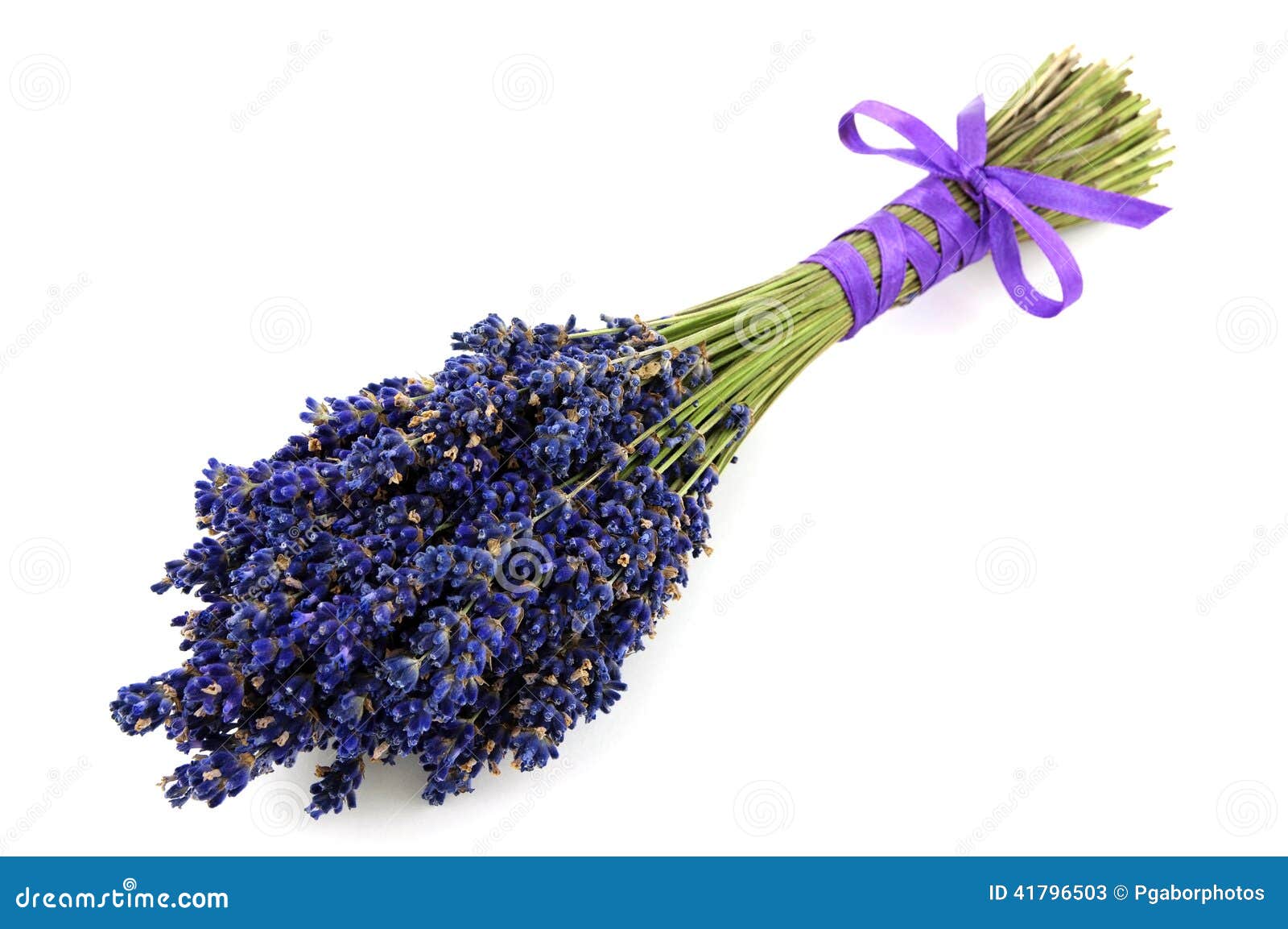 Lavender bouquet isolated stock image. Image of aromatic - 41796503