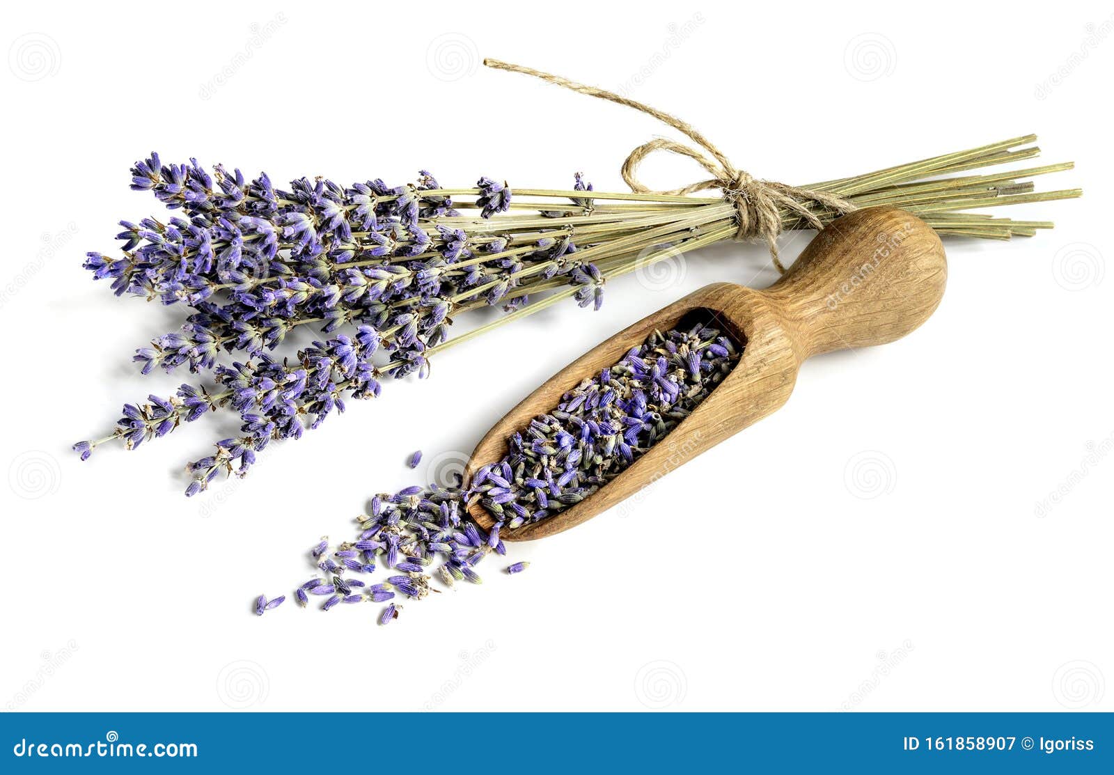 Lavender Flowers, Buds Dried