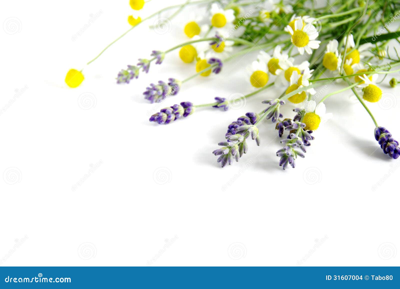 lavender and chamomile