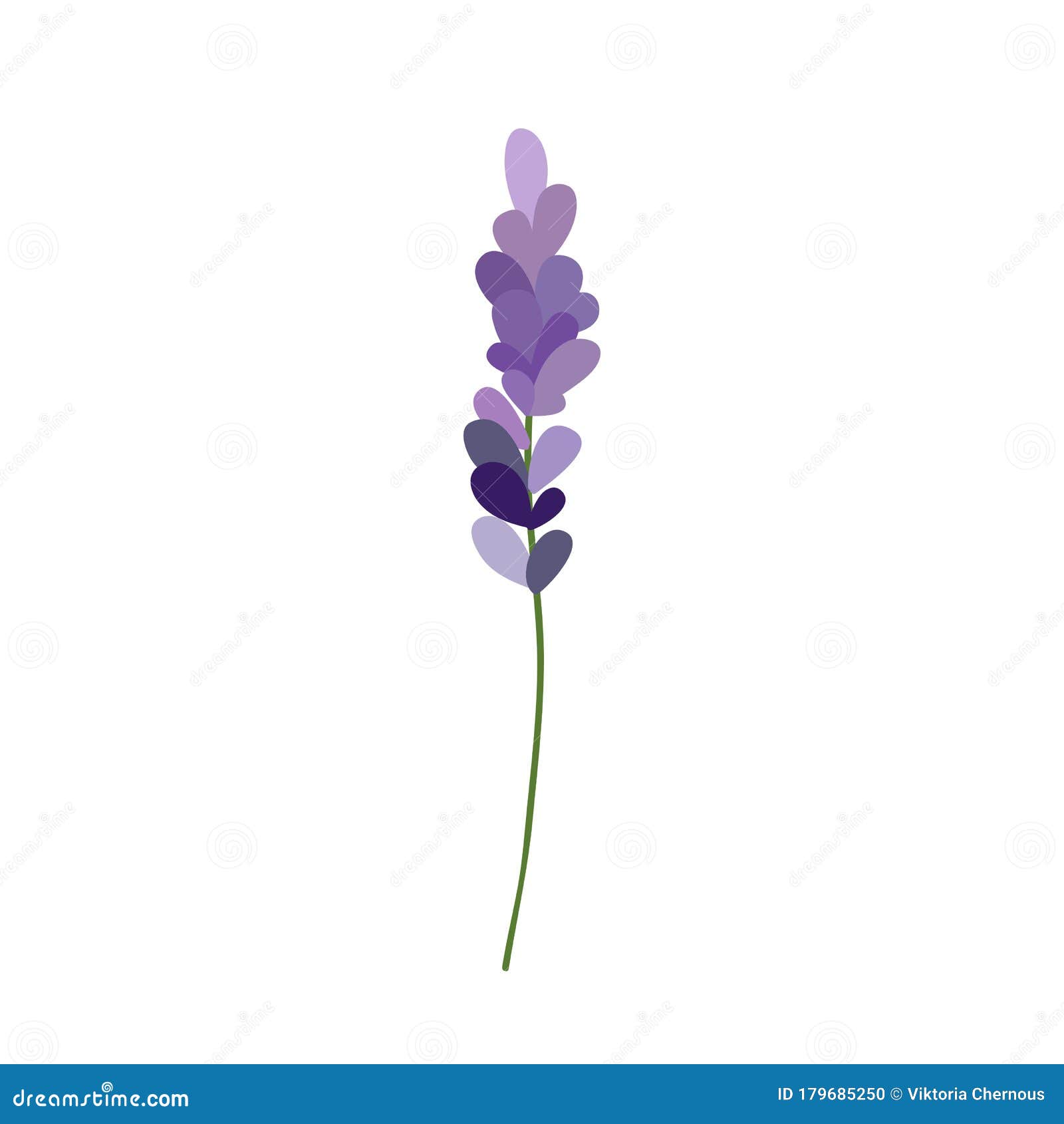 Lavender Doodle Illustration Stock Illustration Illustration of