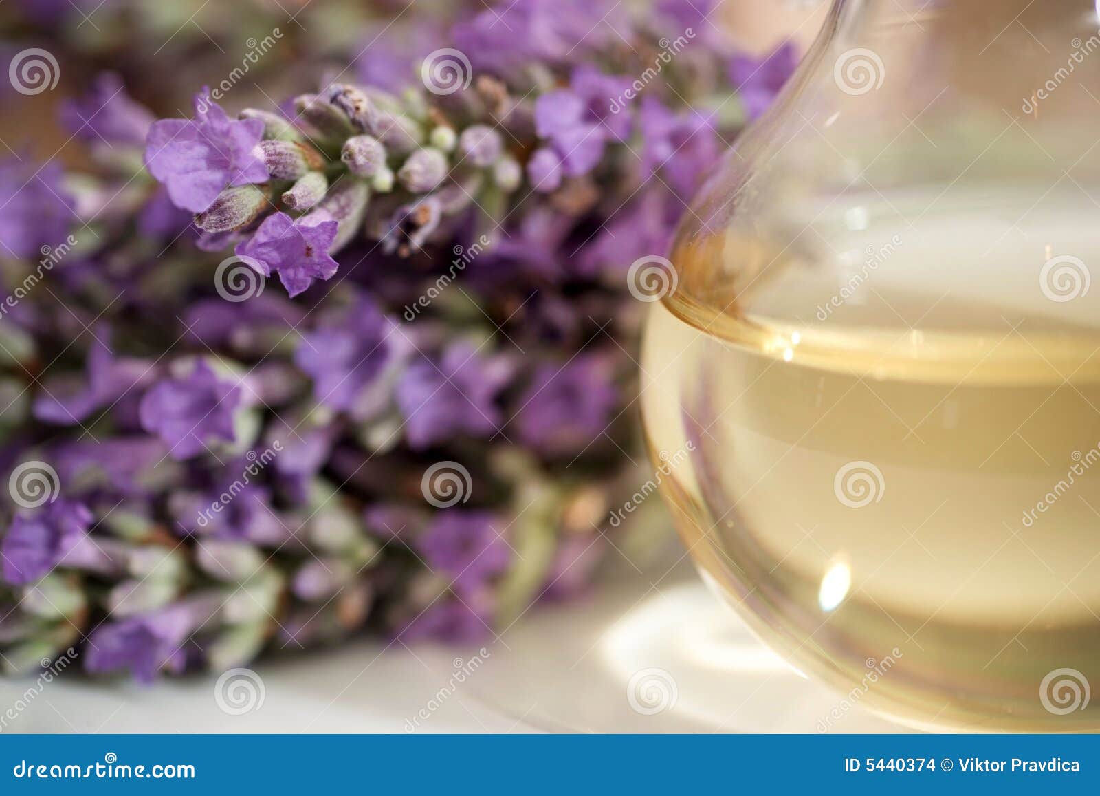 lavender essence oil