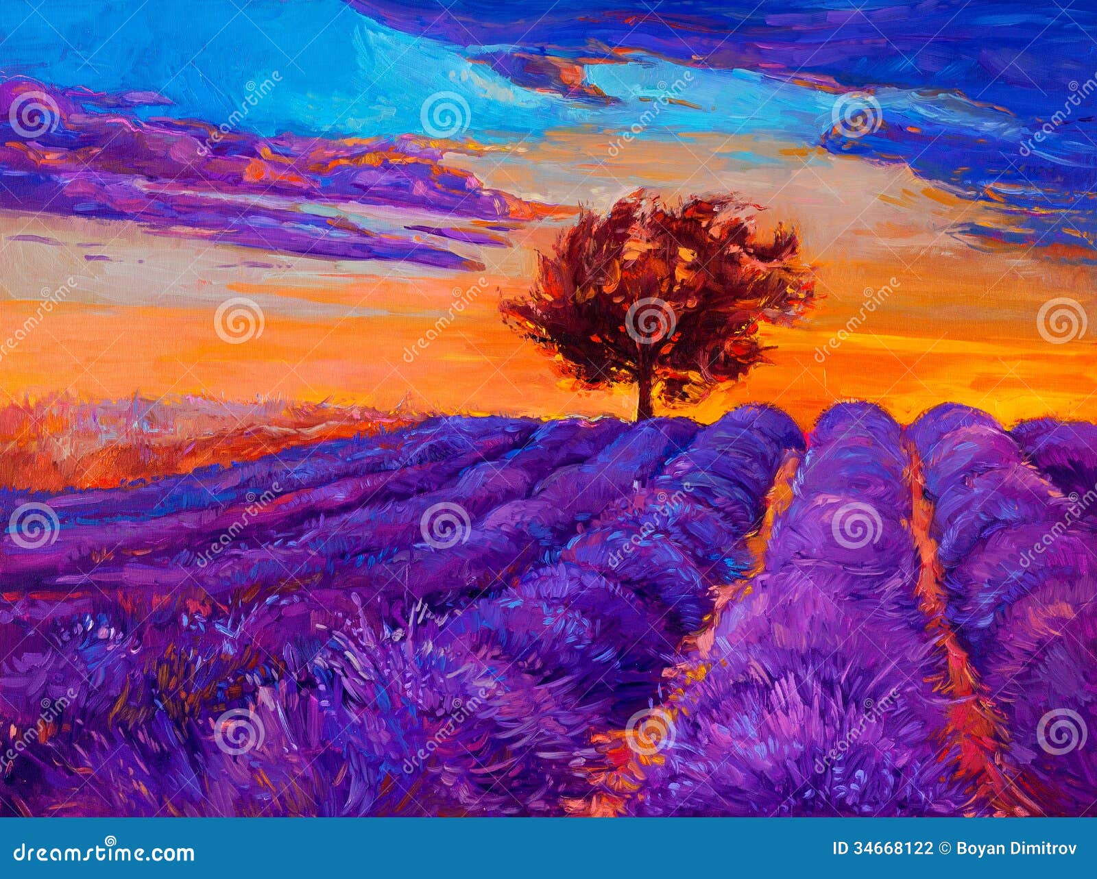 Lavender fields stock illustration. Illustration of fascinating - 34668122
