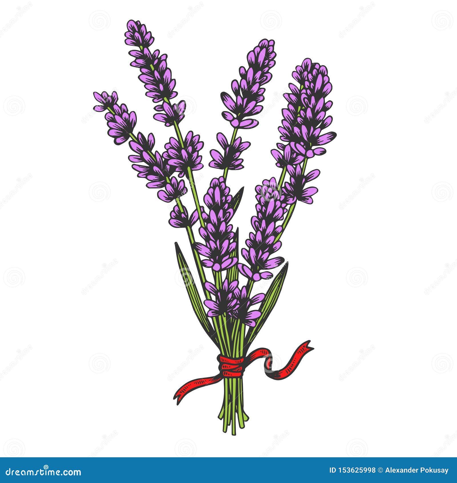 Lavender Drawing | How to Draw Lavender Flower | Brush pen | Sinoun Drawing  - YouTube