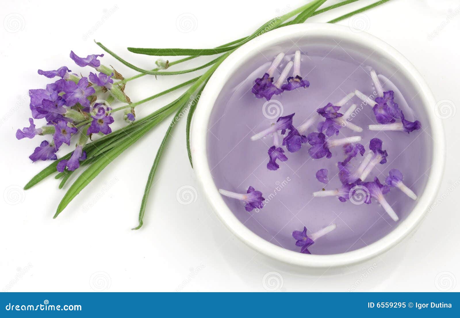 Lavender Flower and Extract Stock Image Image of herbal, flower 6559295