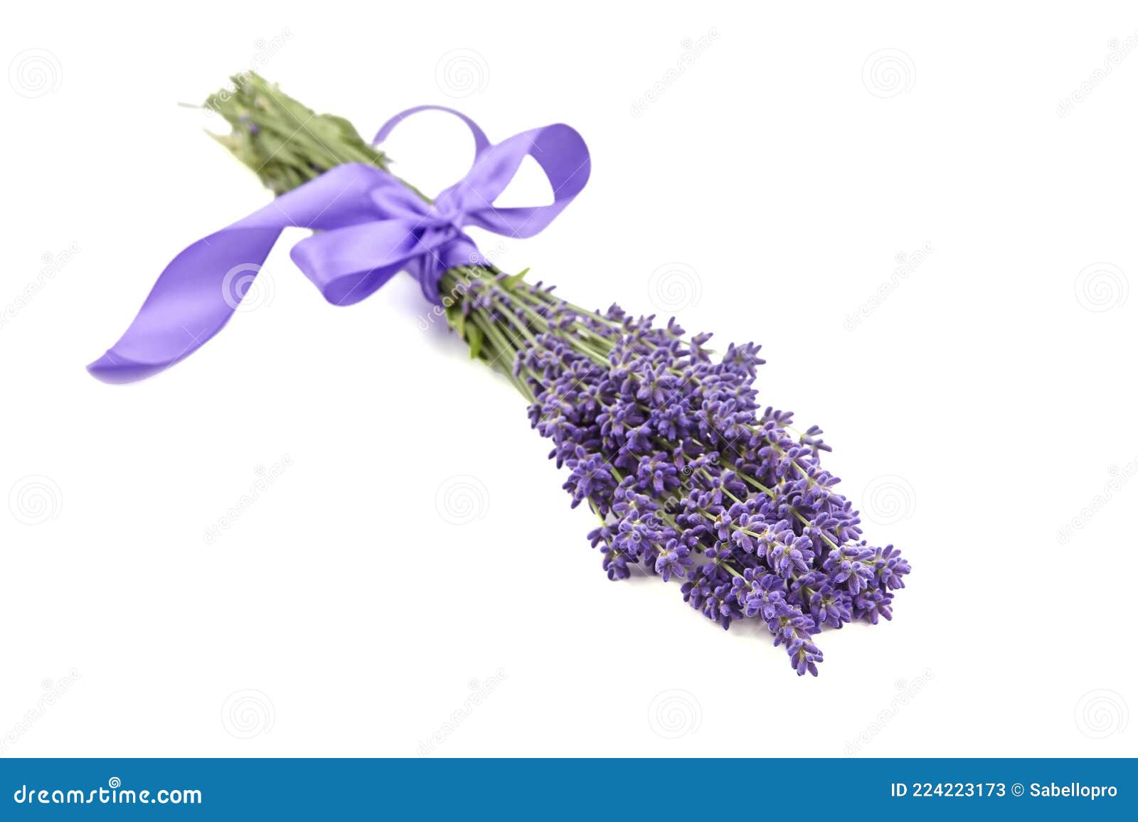 Lavender Flowers Bouquet with Purple Ribbon Isolated on White ...