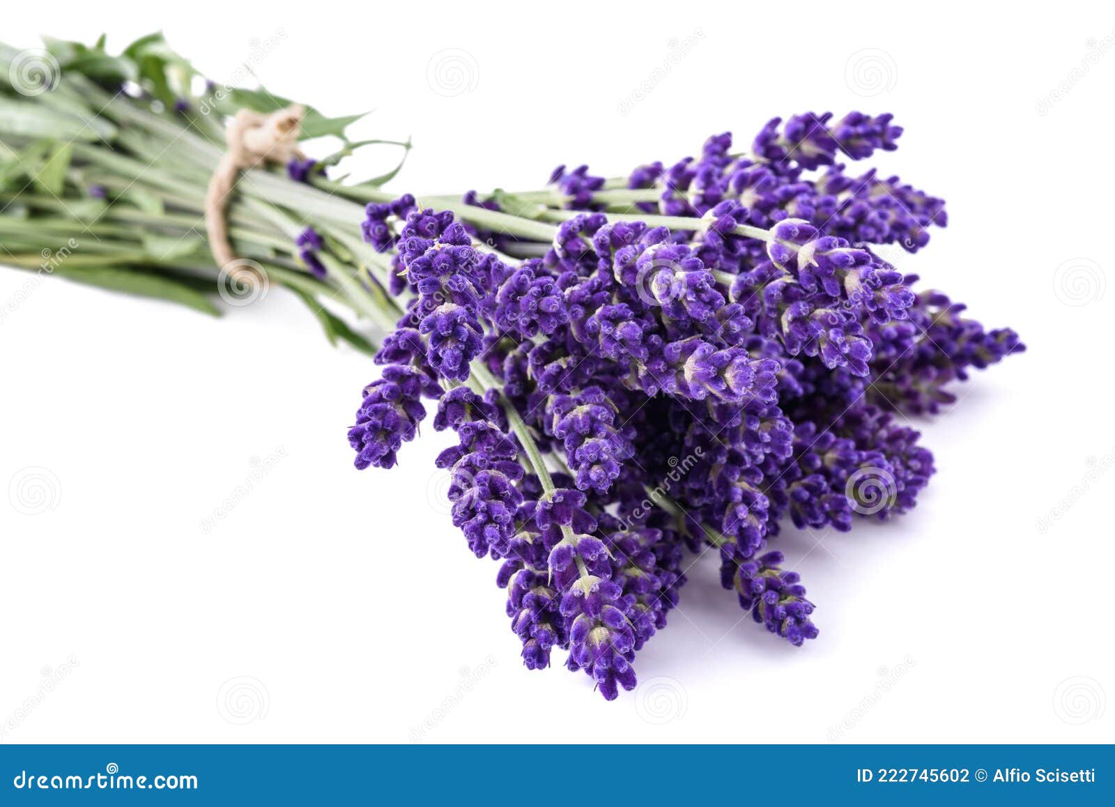 Lavender flowers bunch stock photo. Image of bouquet 222745602