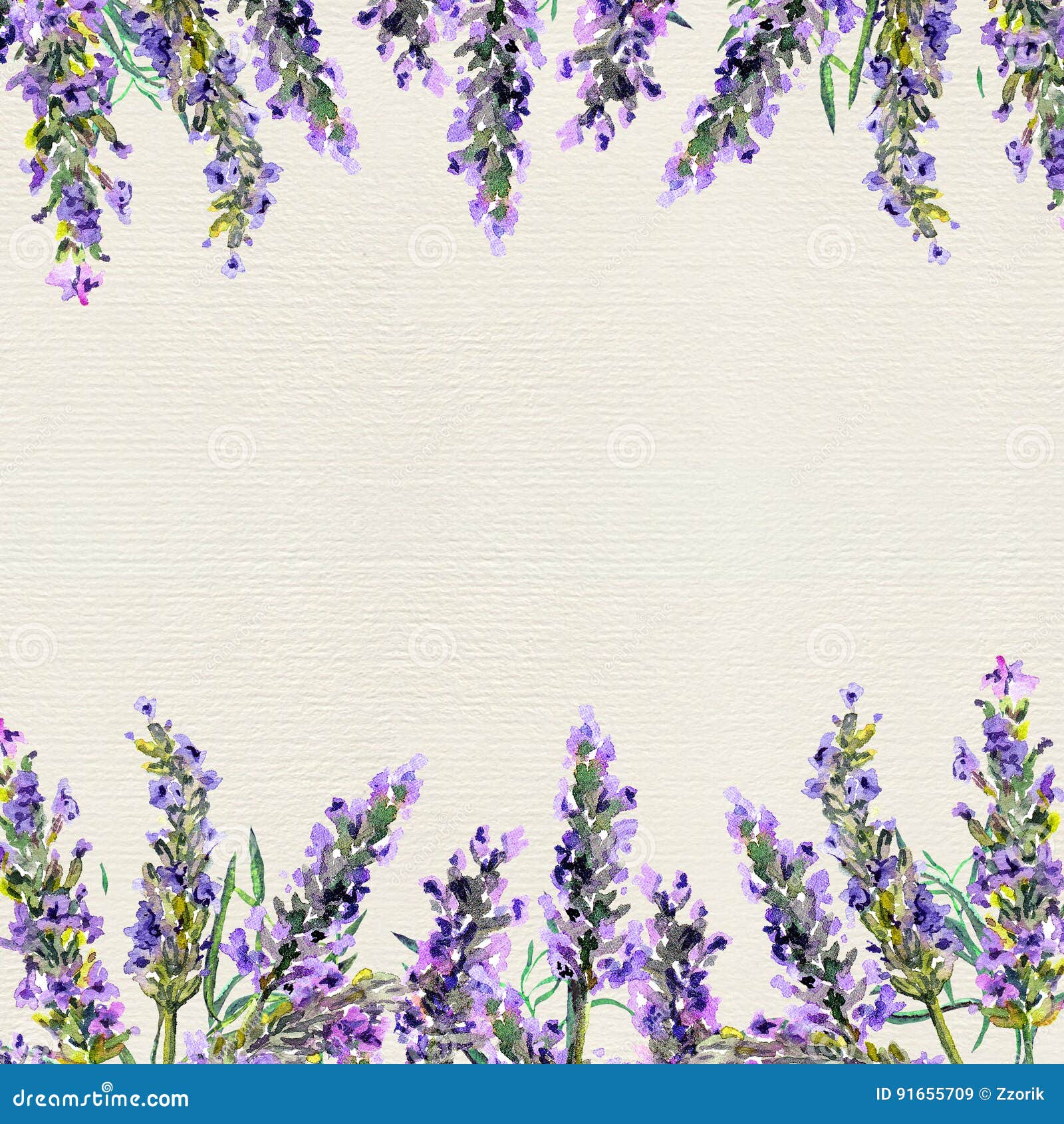 Stimulans Goneryl Honderd jaar Lavender Flowers. Watercolor Border Stock Illustration - Illustration of  pattern, sketch: 91655709