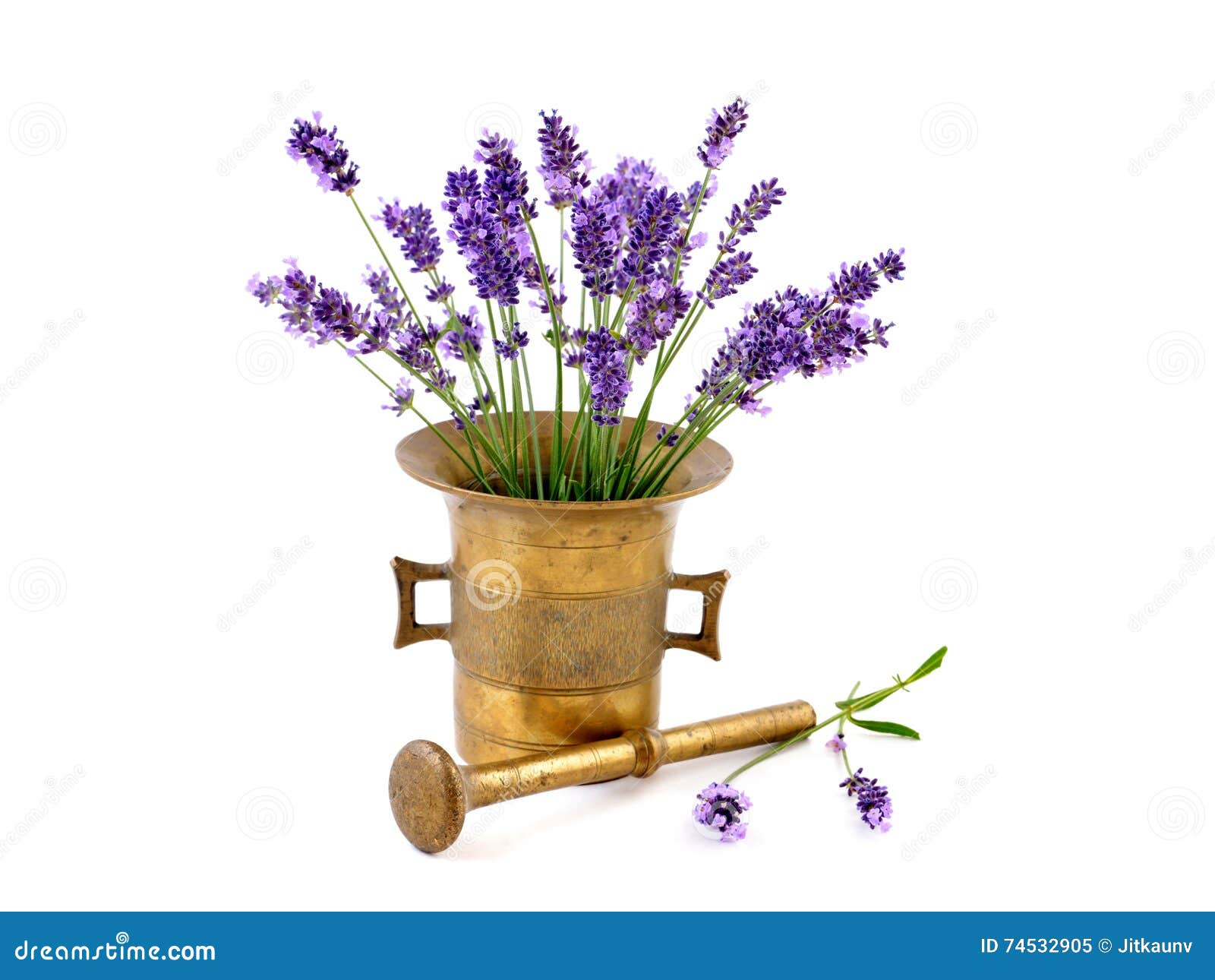 lavender fowers in mortar