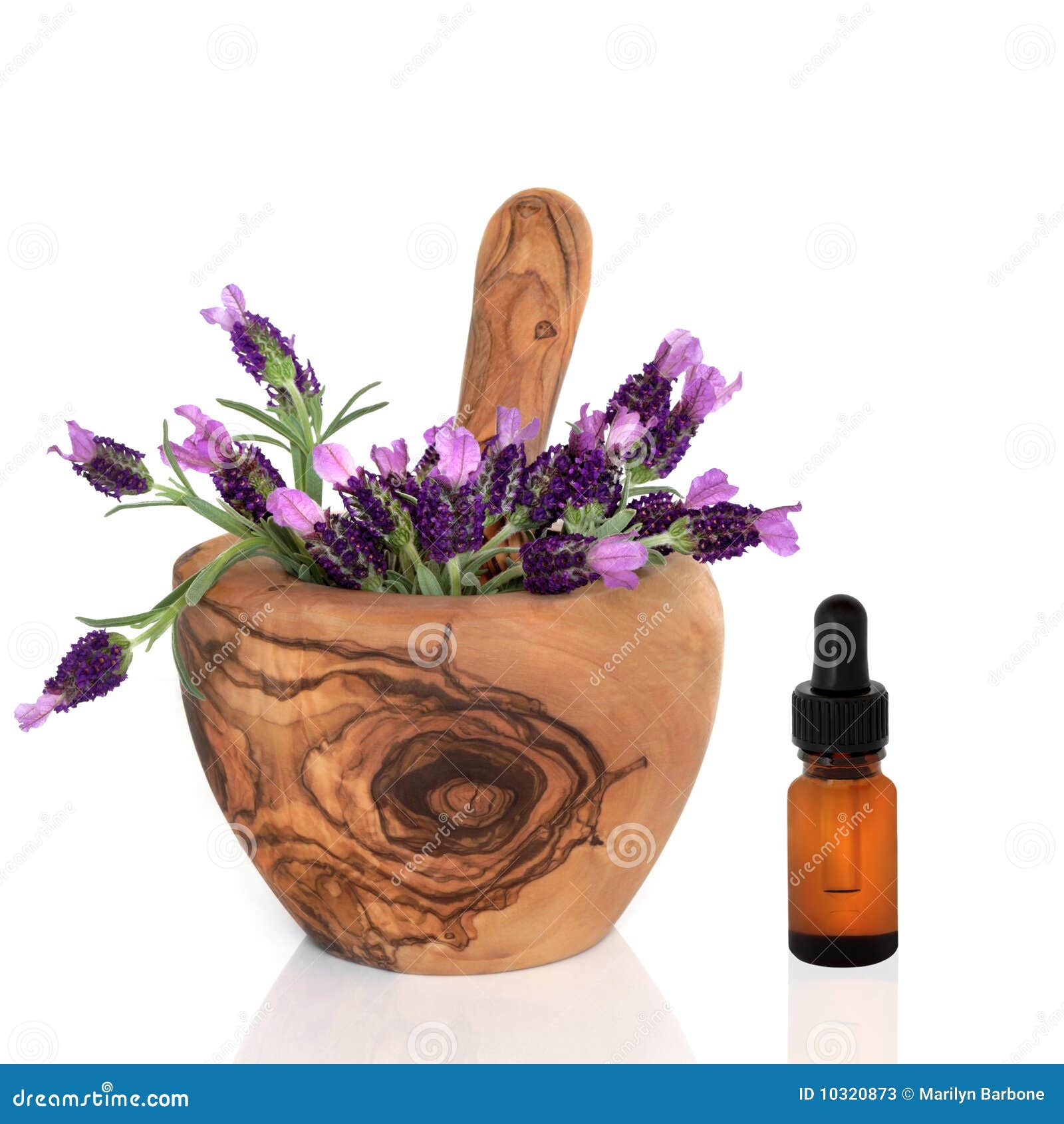 Lavender Herb Flowers And Essence Stock Image Image of herbal