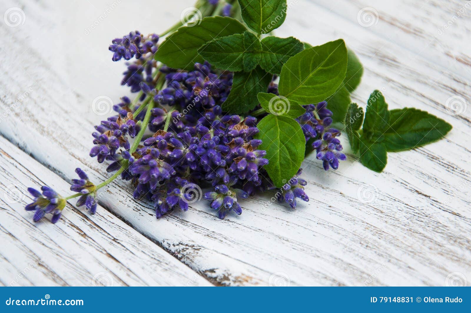 Lavender and mint stock image. Image of herbal, natural 79148831