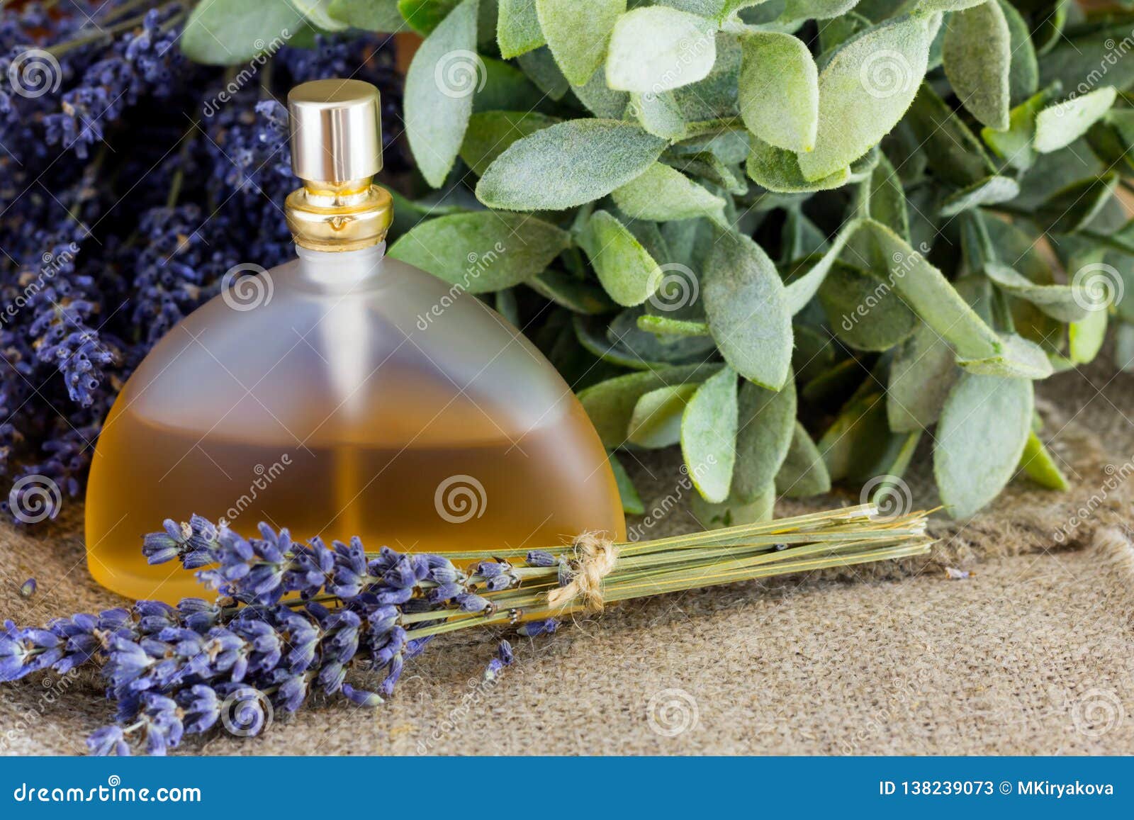 Lavender perfume. stock image. Image of herb, essence 138239073