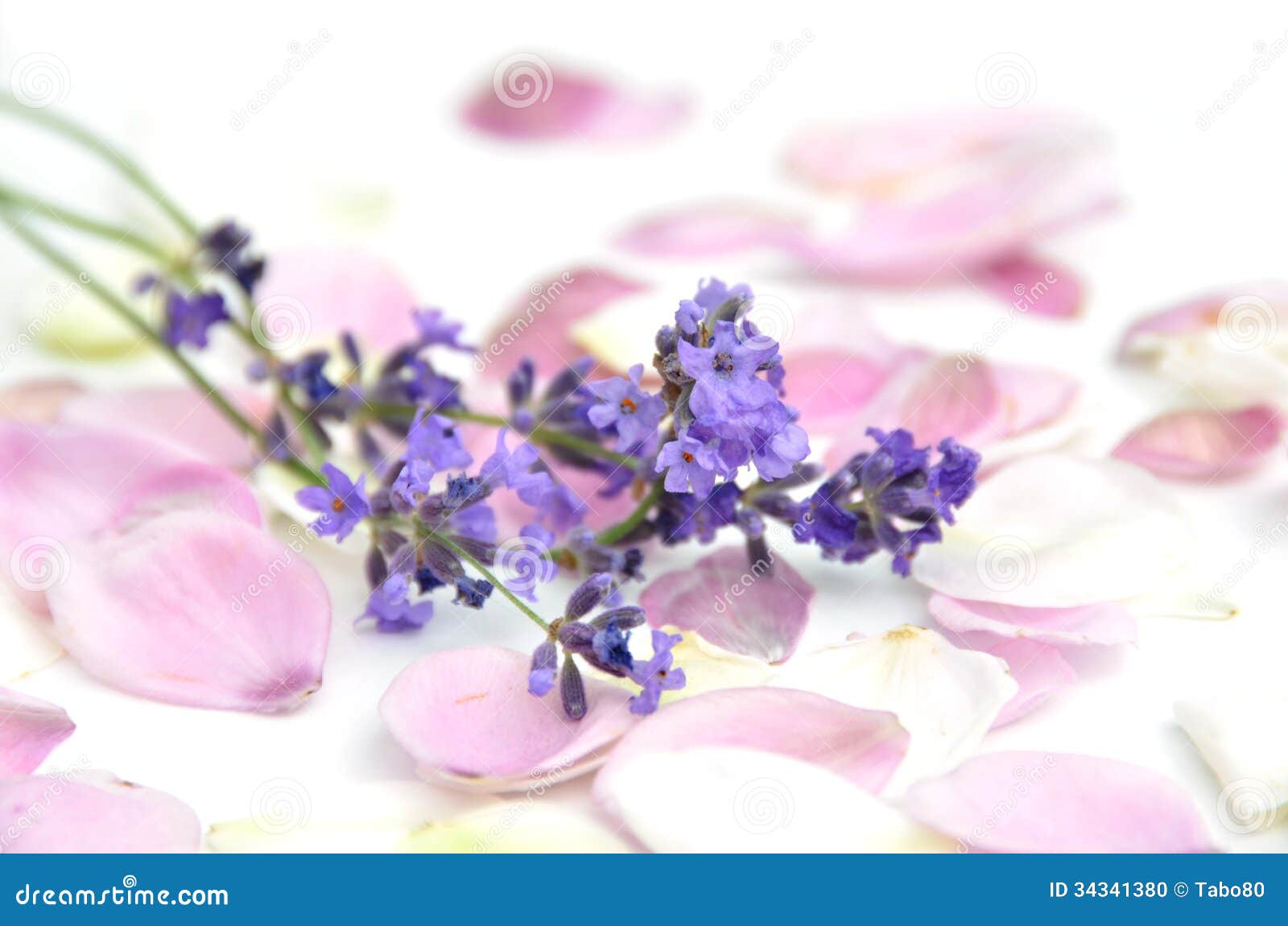Lavender and petals stock photo. Image of white, aromatherapy 34341380