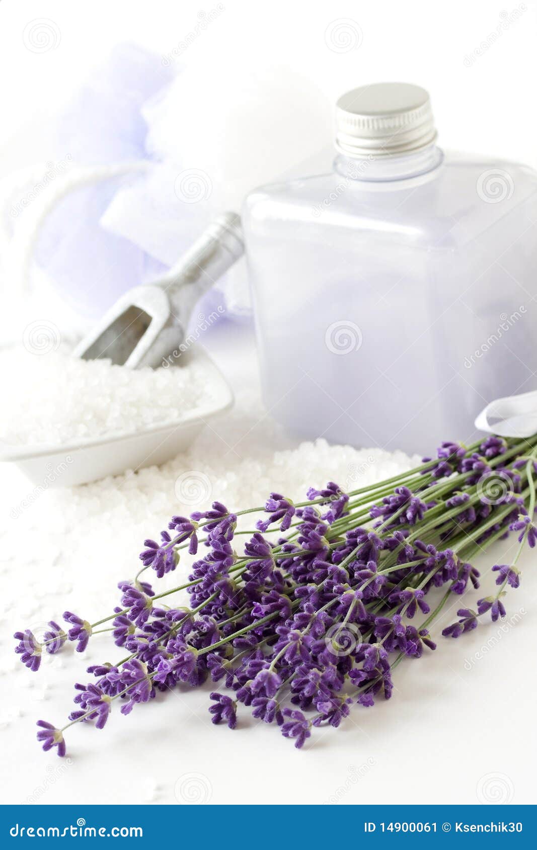 Lavender Plant, Shower Gel and Bathsalt Stock Image Image of flower