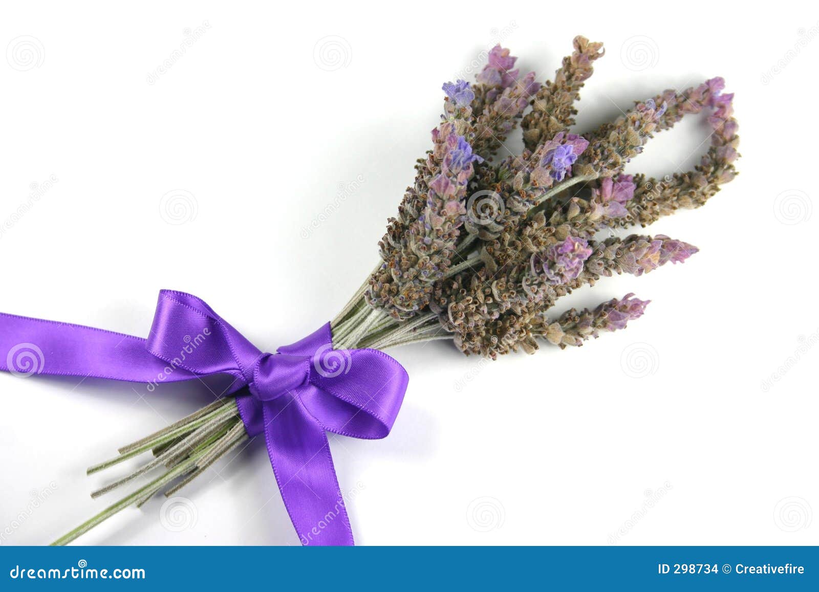 Lavender Posy stock photo. Image of purple, lavender, drying - 298734