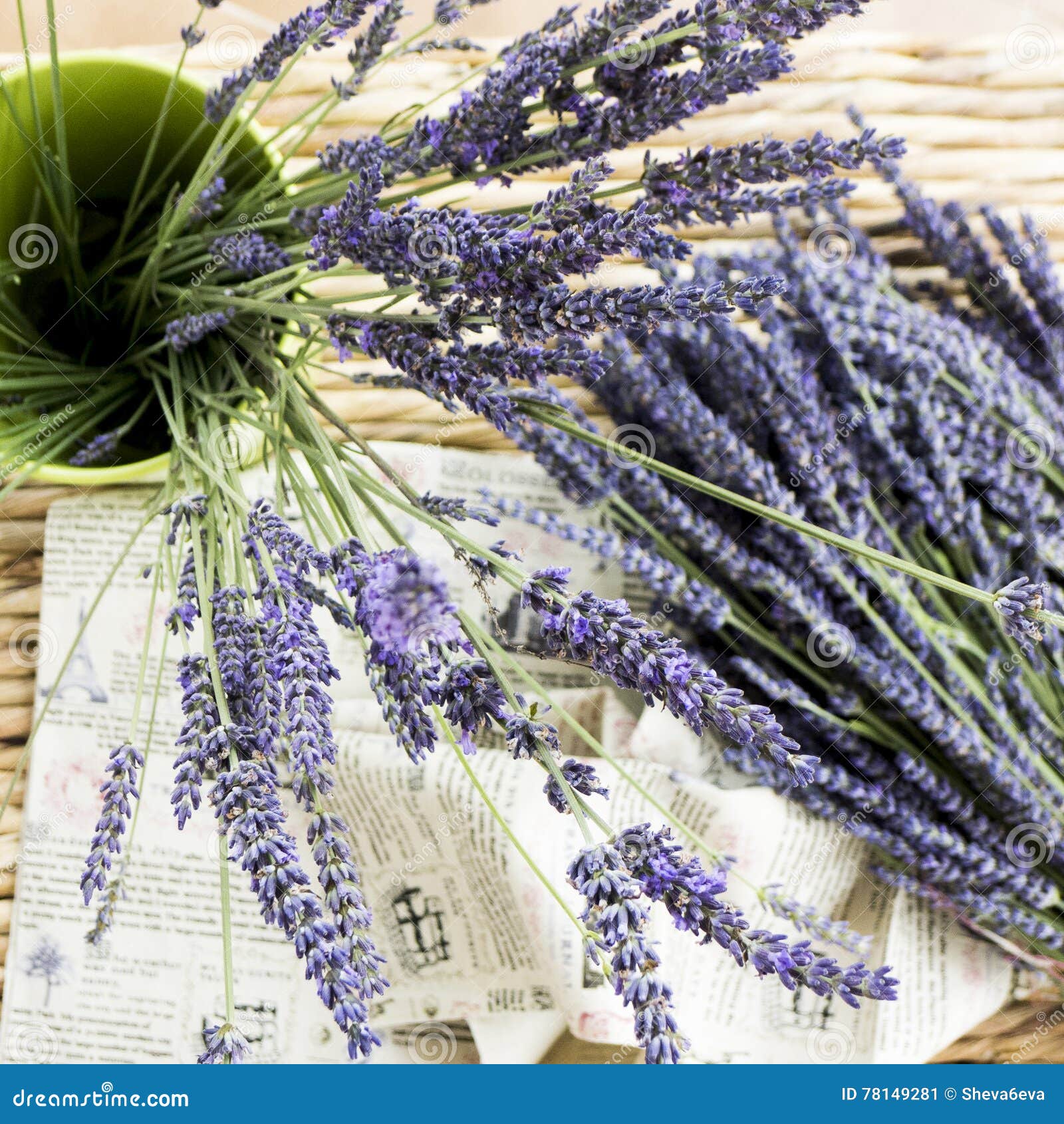 Lavender stock image. Image of france, presentation, aroma 78149281