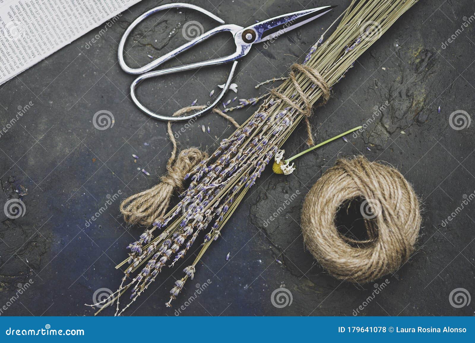Lavender, Rustic Twine and Pruning Shears Stock Photo Image of purple