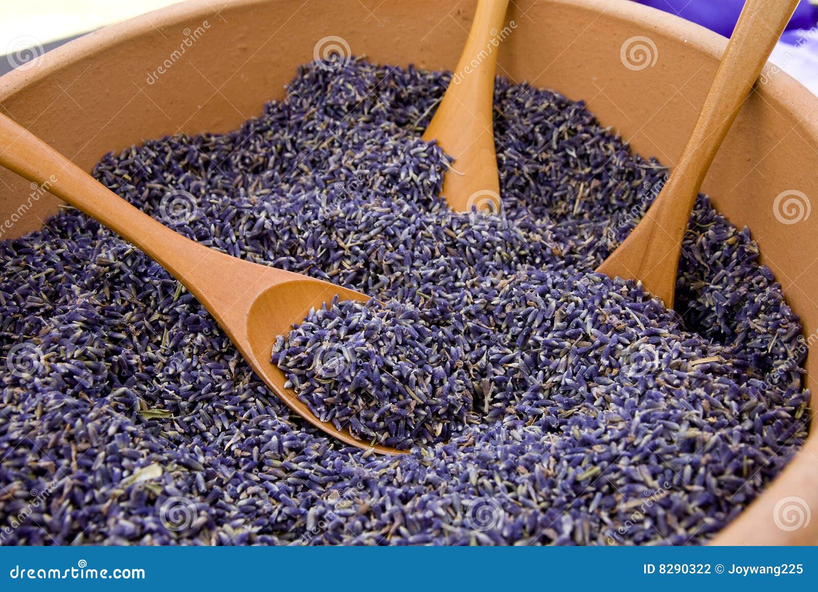 Lavender Seeds Stock Photography - Image: 8290322