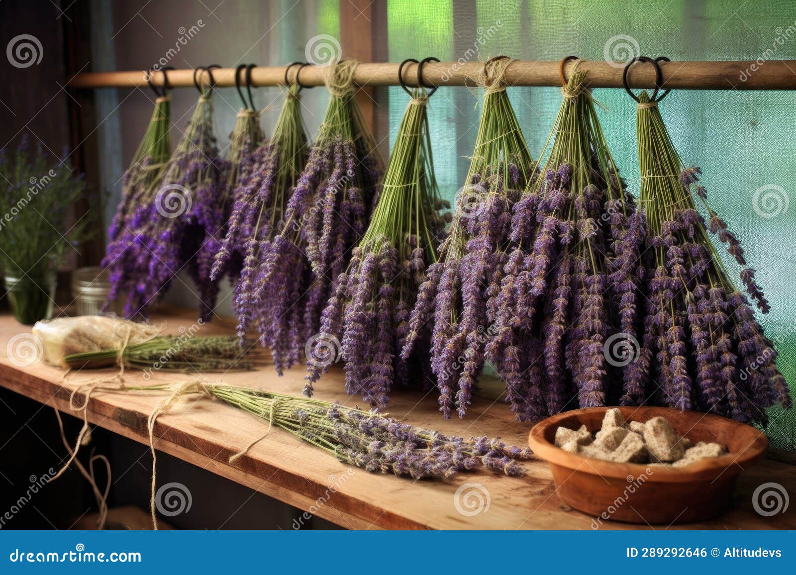 Lavender Sprigs Spread on a Wire Rack, Drying Naturally Stock Photo