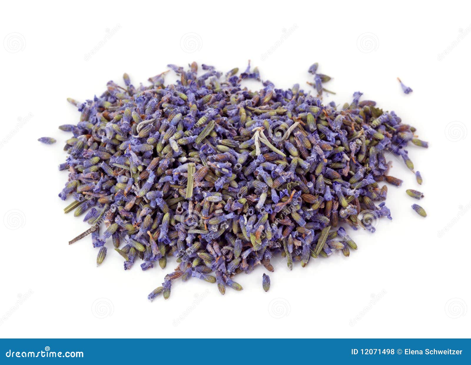 Lavender tea stock photo. Image of organic, relaxation 12071498