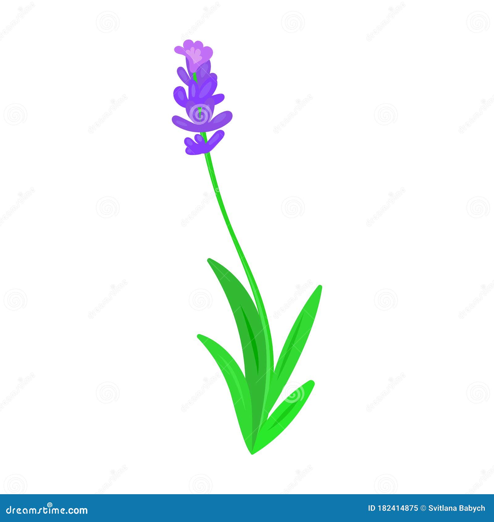 Lavender Vector  Vector Icon Isolated on White Background  Lavender. Stock Vector - Illustration of green, garden: 182414875