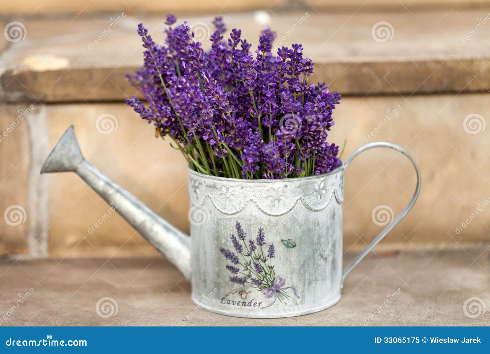 Lavender stock image. Image of nature, metallic, container 33065175