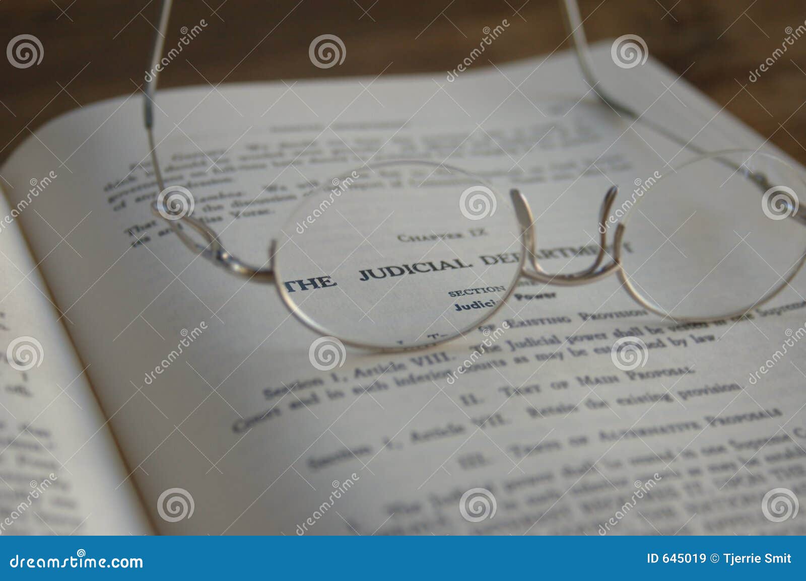 lawbook judicial