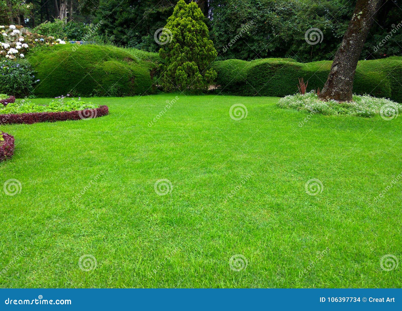 lawn, beatiful green grass garden