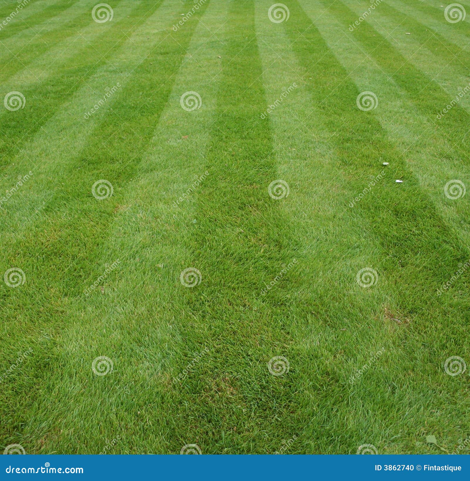 lawn cut with stripes