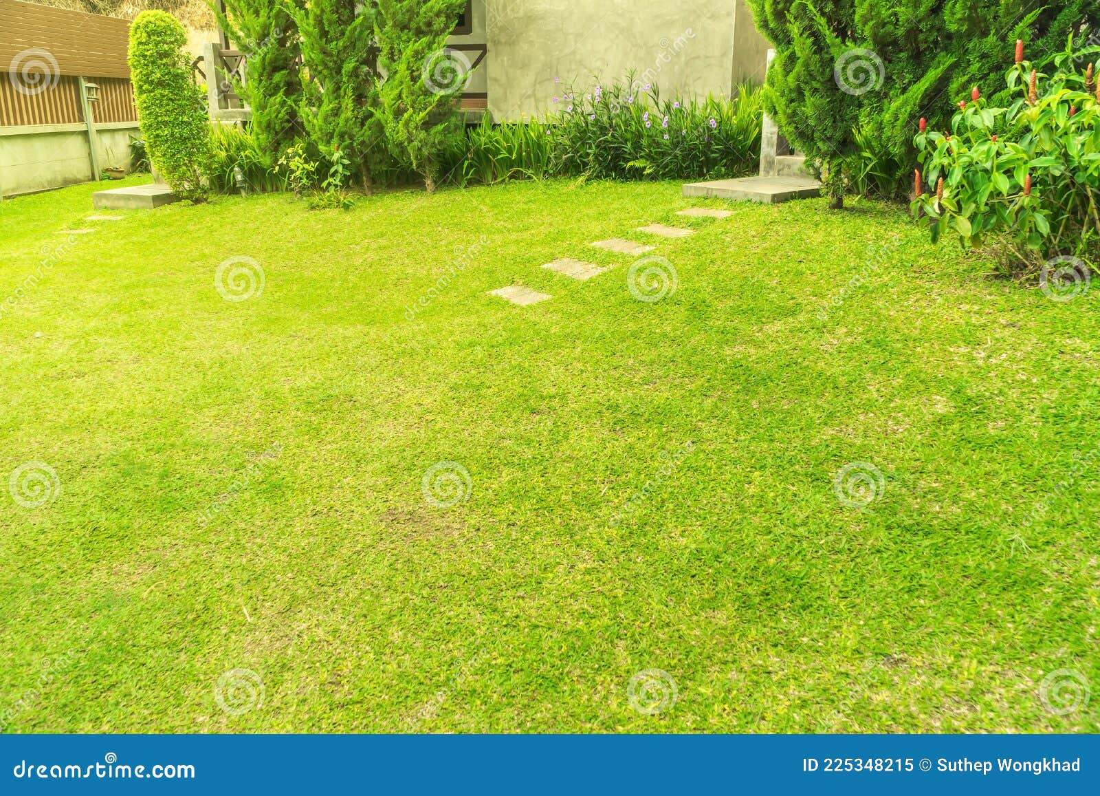 Lawn and Garden Blur Background, the Design Concept for Background, Garden  with Green Lawn and Garden. Landscaped Garden Stock Image - Image of front,  landscaped: 225348215