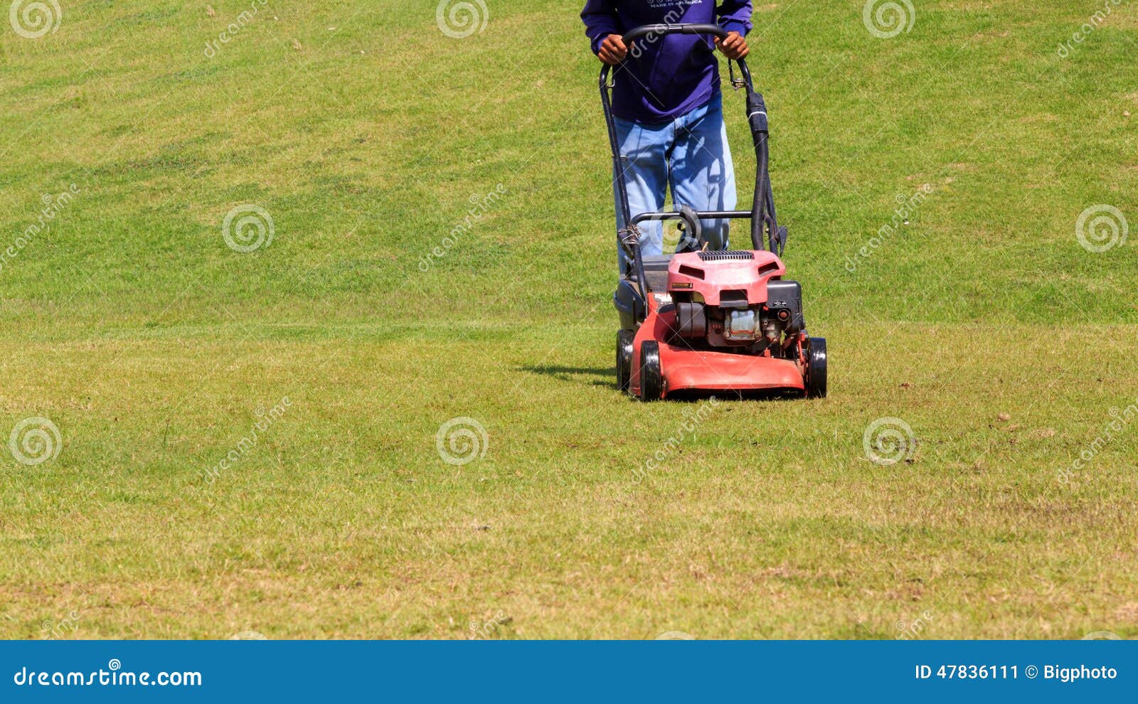Gardener Mowing Green Plants With Lawn Mower Cutting Grass RoyaltyFree