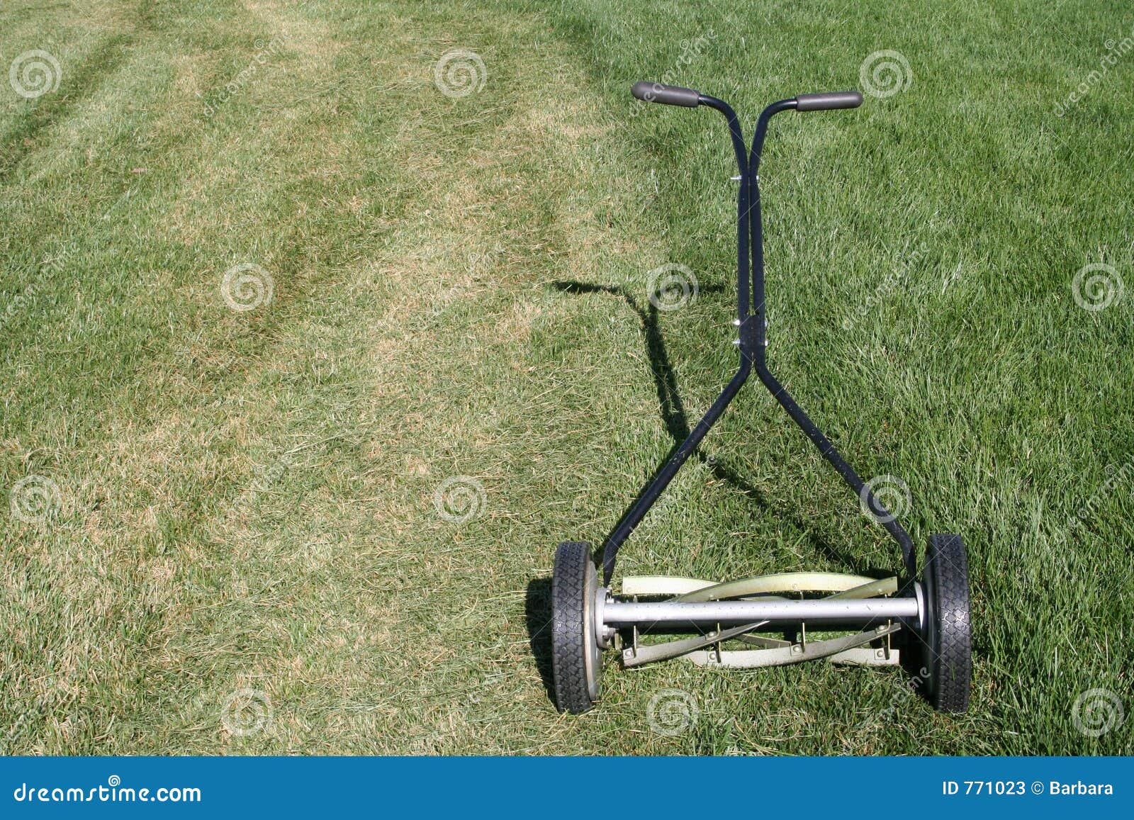 No motor lawn 2025 mower