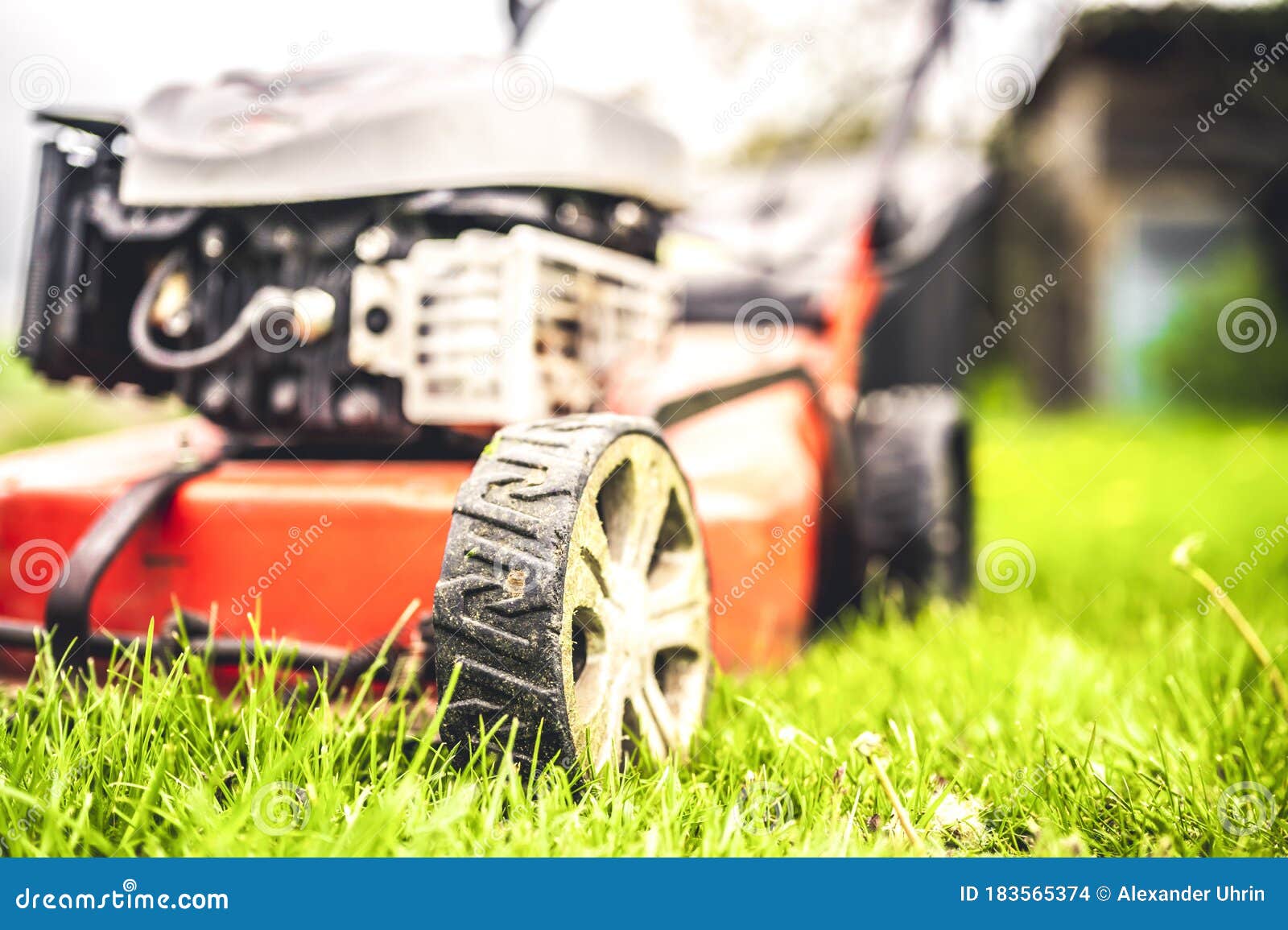 Lawn Mower Cut Grass. Garden Work. Electric Rotary Lawn Mower Machine