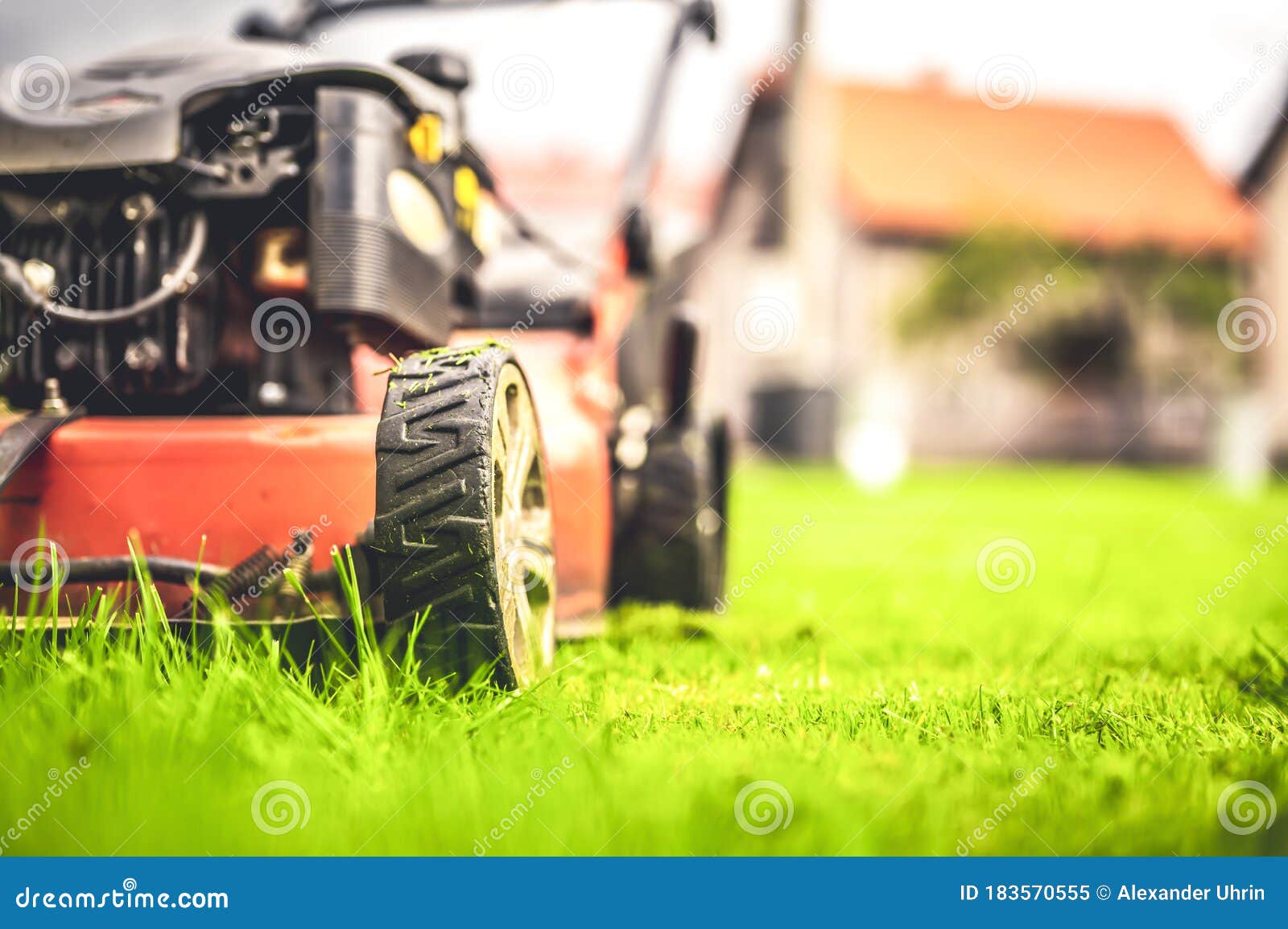 Lawn Mower Cut Grass. Garden Work. Electric Rotary Lawn Mower Machine