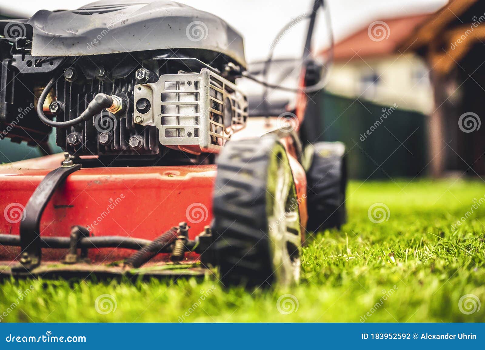 Lawn Mower Cut Grass. Garden Work. Electric Rotary Lawn Mower Machine