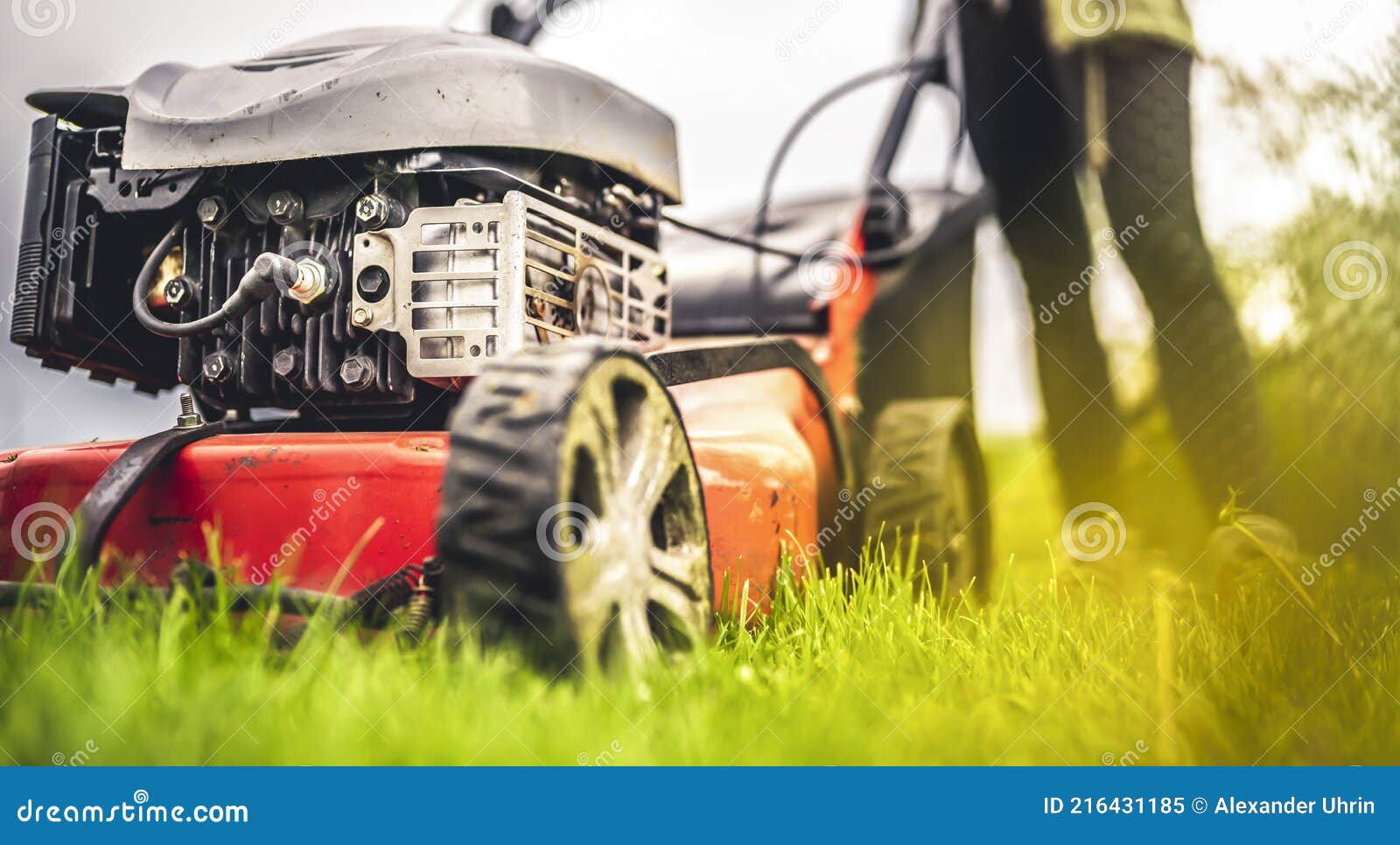 Lawn Mower Cut Grass. Garden Work. Electric Rotary Lawn Mower Machine